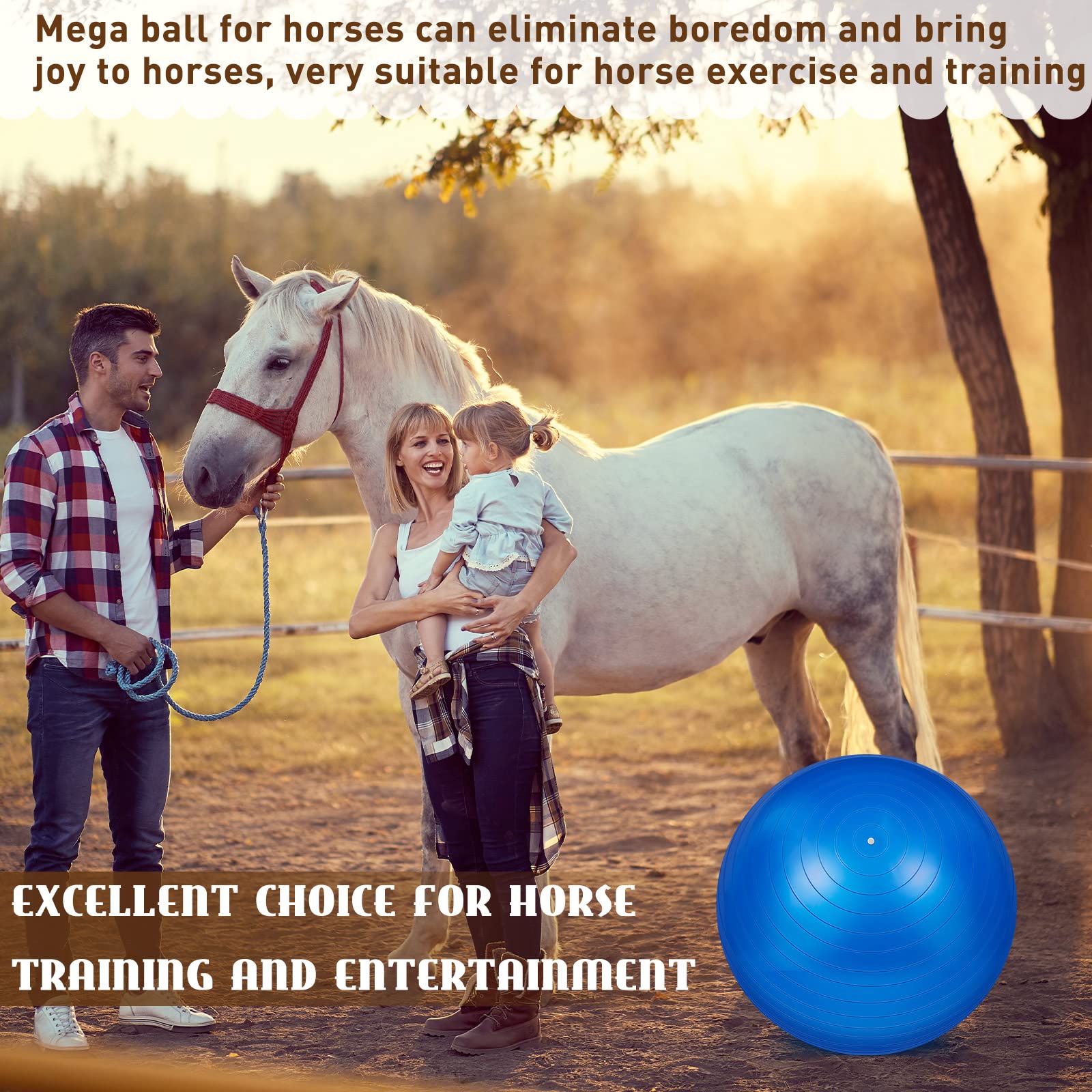 2 Pcs 25 Inch Horse Ball for Play Large Horse Ball Big Herding Ball for Horse Anti Burst Horse Soccer Ball Giant Horse Play Ball Toys for Horses to Play with, Pump Included (Dark Blue, 25 Inch)