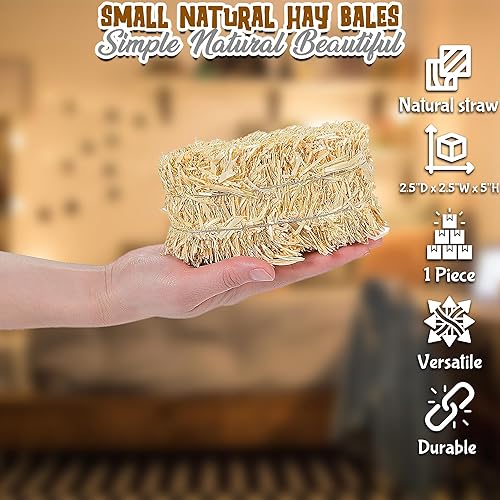 Miniatura 2 de Fun Express Pequeña bala de heno natural – 5 pulgadas para cosecha de otoño y manualidades de Halloween – Ideal para decoración de temporada –