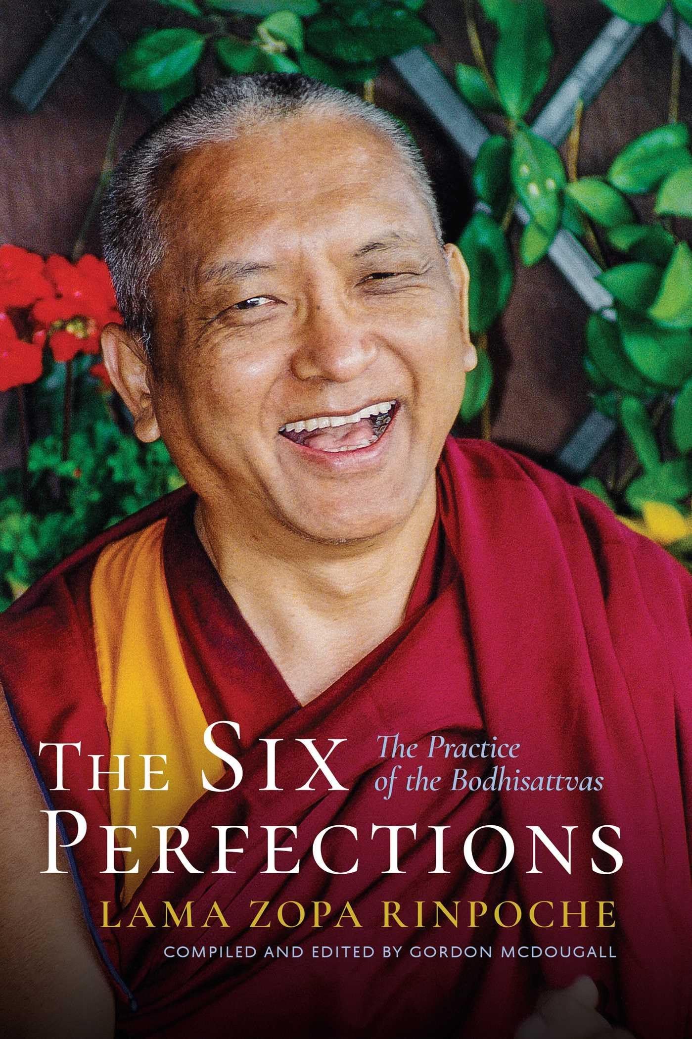 The Six Perfections: The Practice of the Bodhisattvas (Rinpoche)