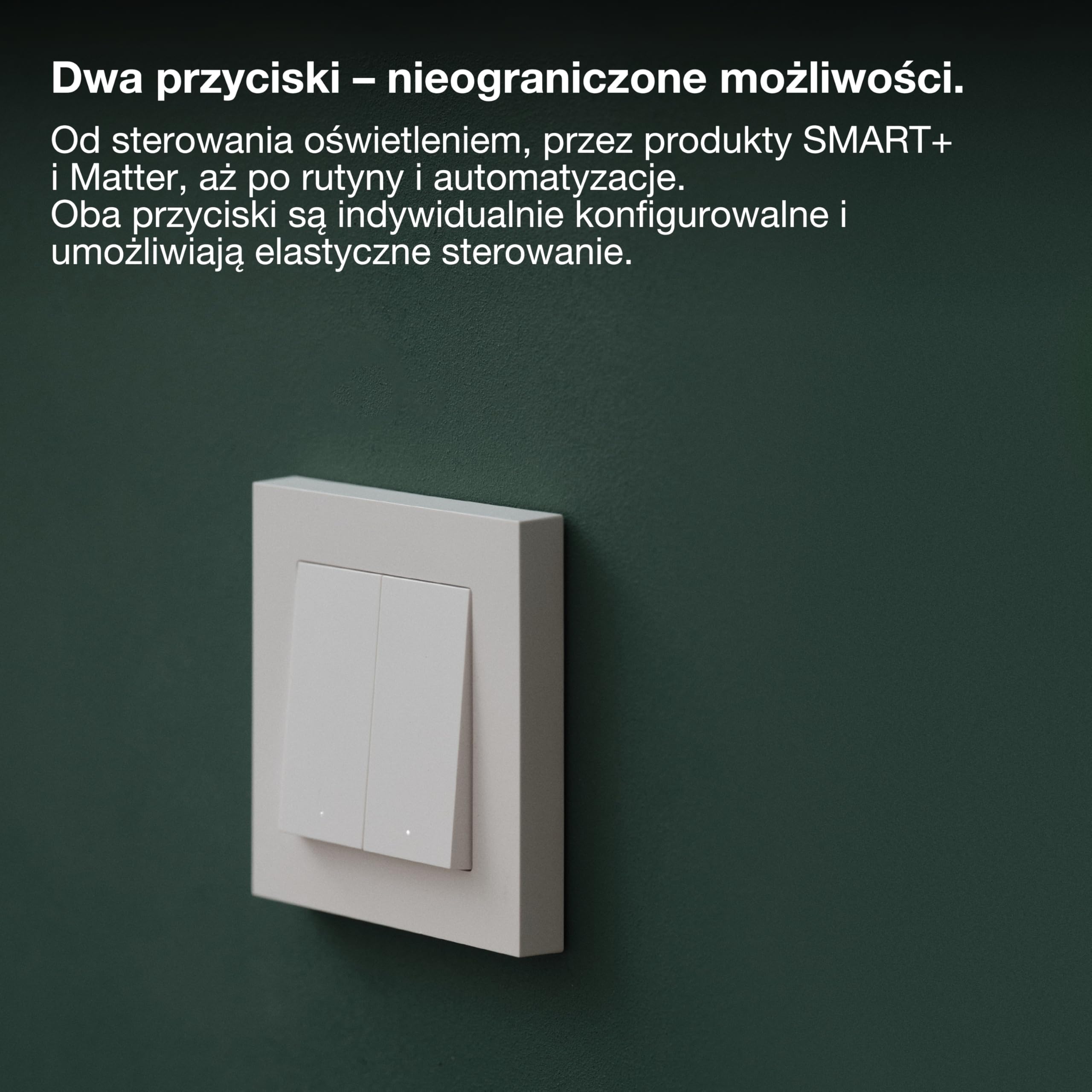 SMART+ WIFI MATTER WALL SWITCH 2 Channel