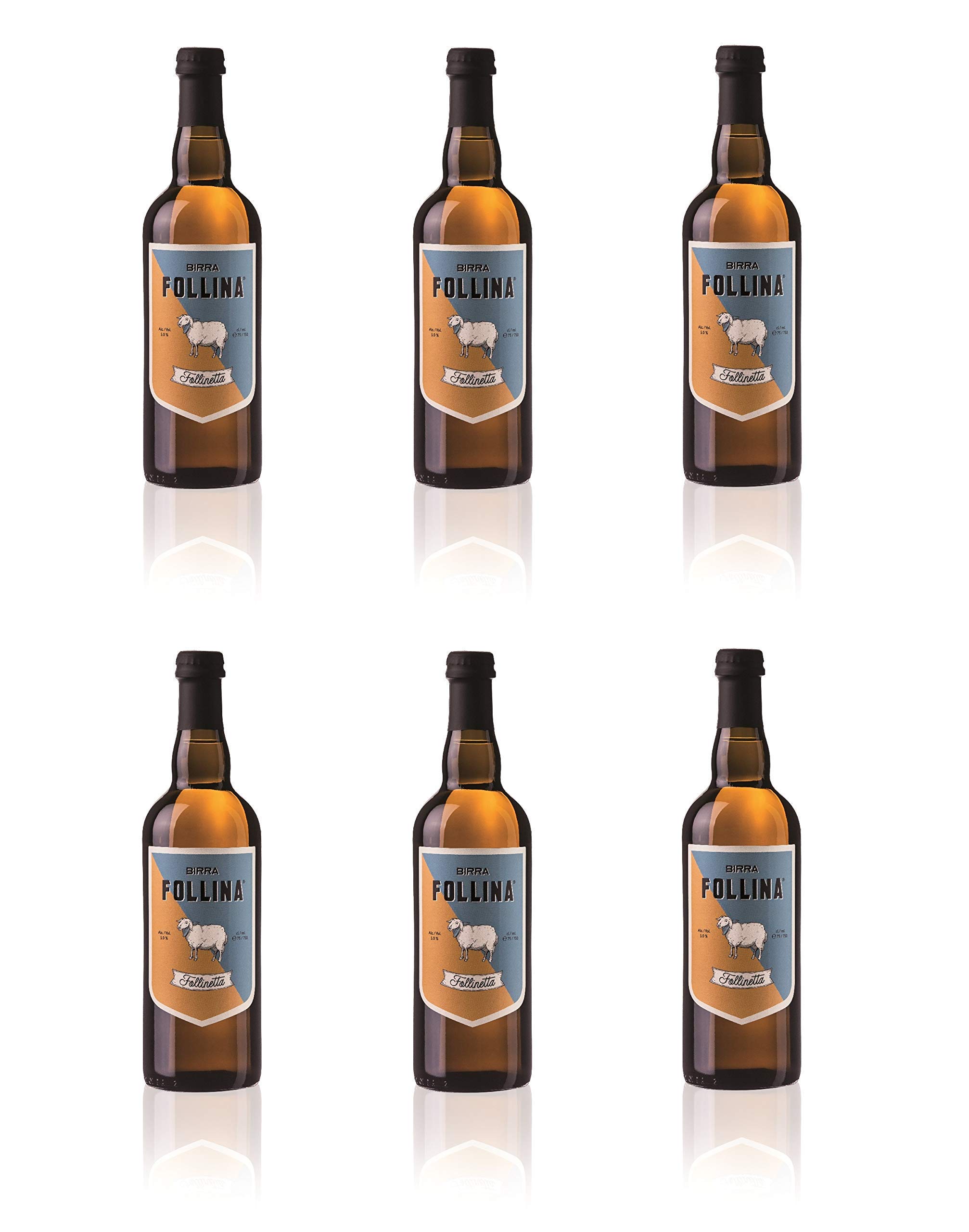Birra Follina - la Follinetta - Birra Artigianale Belgian Saison non filtrata e non pastorizzata - 75cl - Gradazione Alcolica 5.0% - Prodotta in Italia (6)