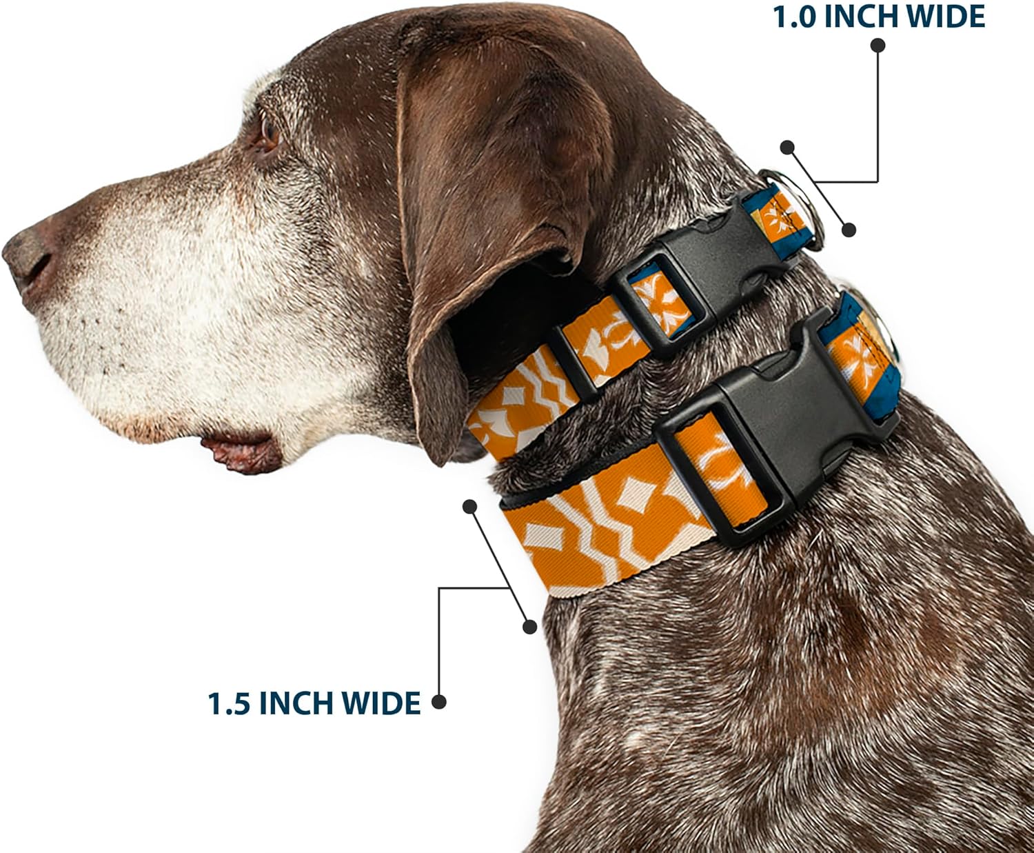 Buckle-Down Star Wars Pet Collar, Dog Collar Plastic Buckle, Clone Wars Ahsoka Tano Bounding Blues Orange, 1.5 Inch Wide - Fits 13-17 Inch Neck - Small