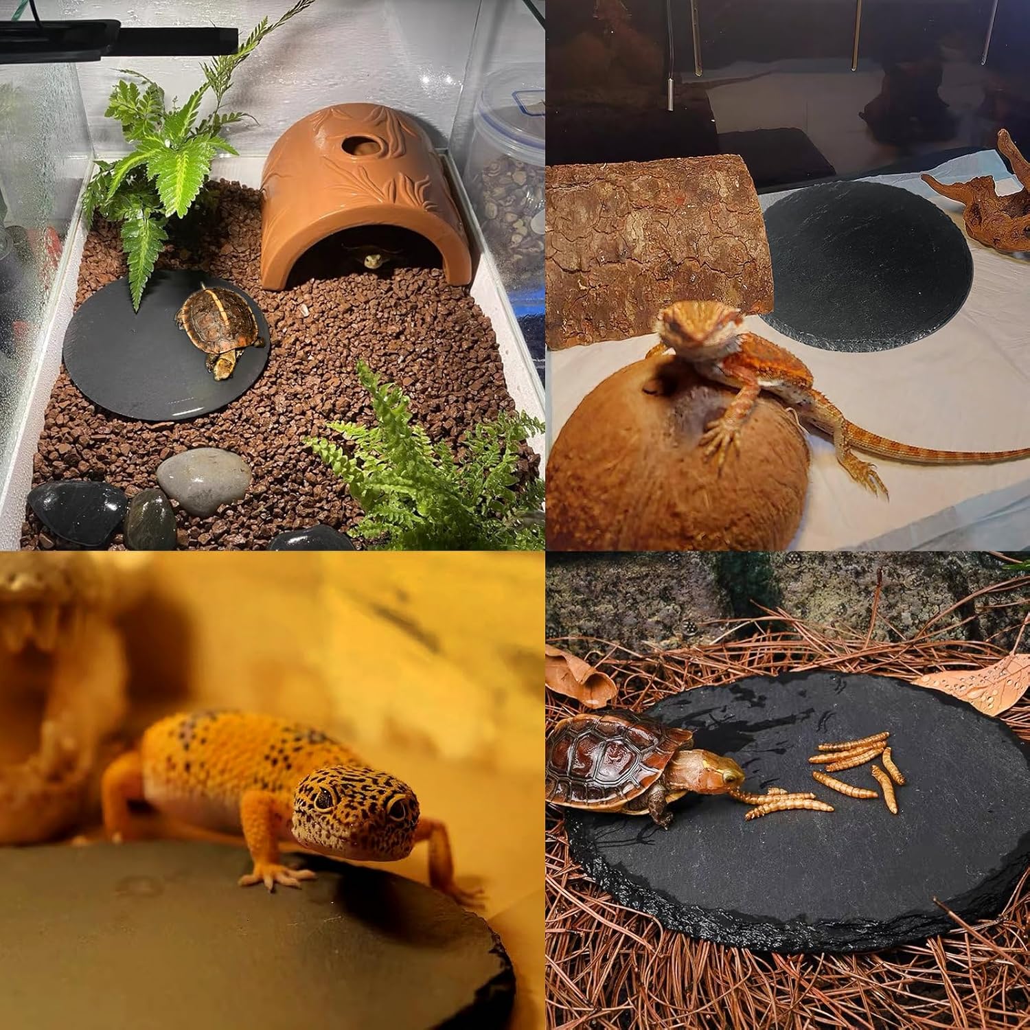 Slate Tile Food Dishes For Reptiles - Natural Stone Feeding Slates | Tortoise & Reptile Habitat Accessories