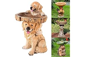 Dog Birdbath | Outdoor Resin Tree Stump Birdbath