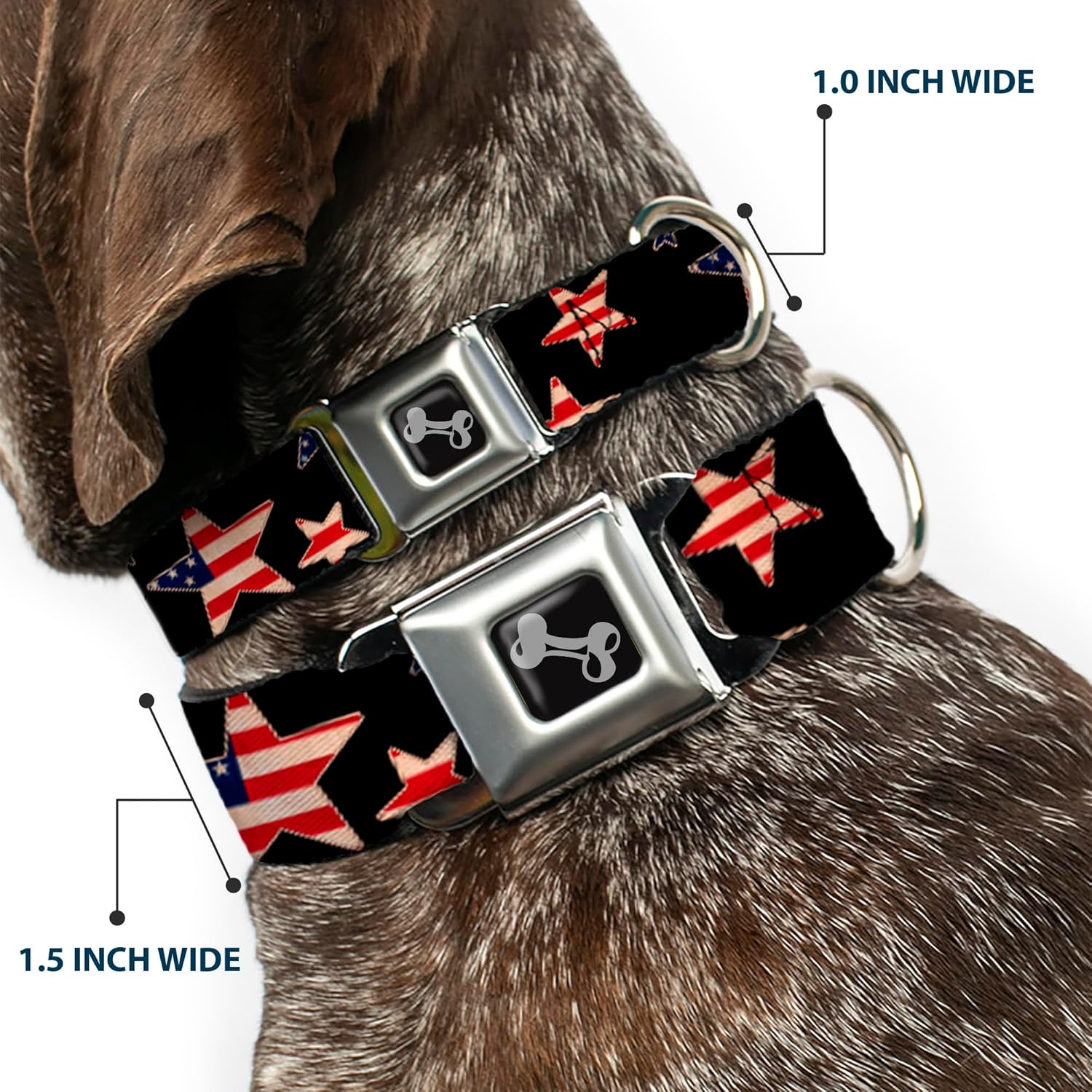 Buckle-Down Dog Collar Seatbelt Buckle Americana Stars Flags Black Red White Blue 15 to 26 Inches 1.0 Inch Wide