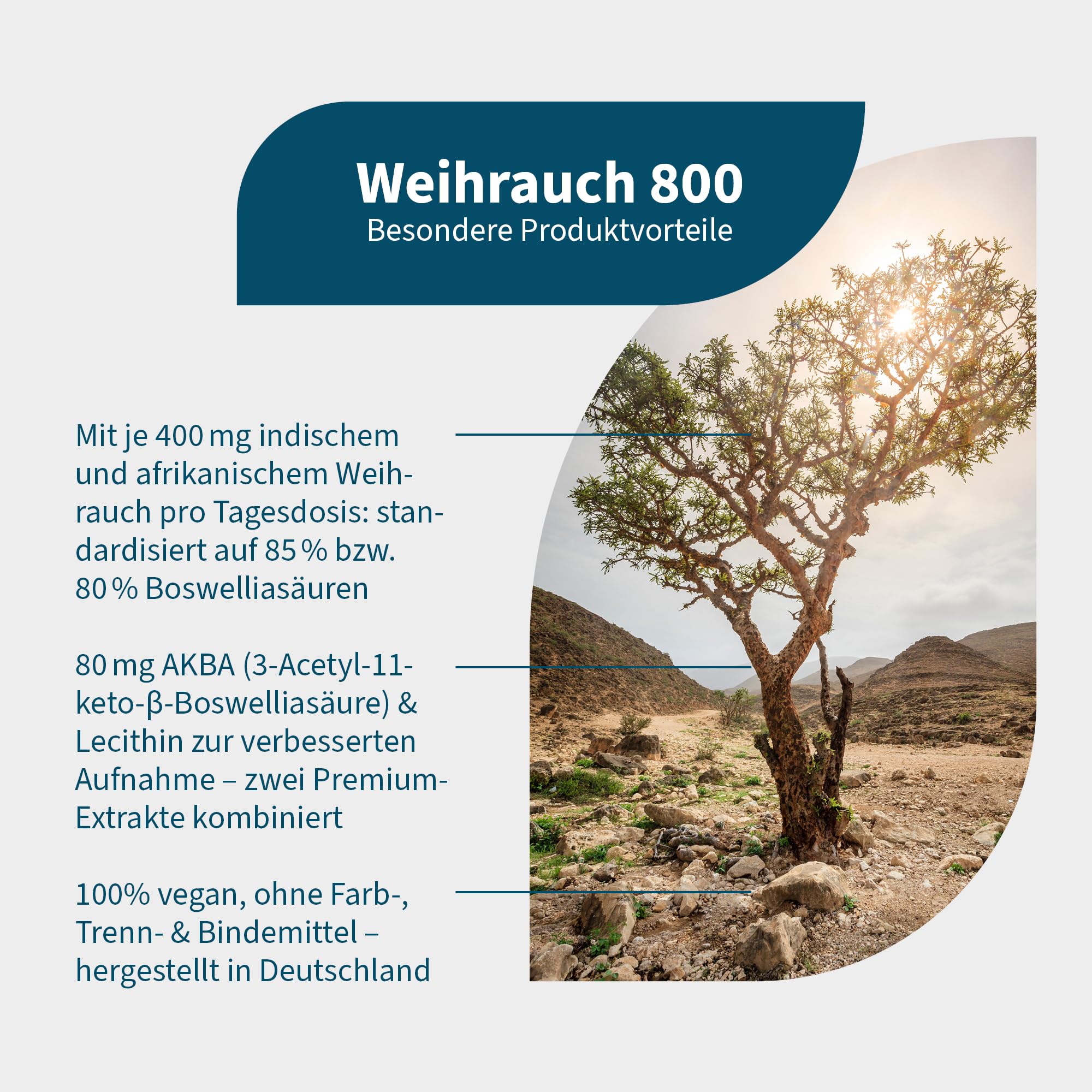 NatuGena Weihrauch 800 afrikanischer Weihrauch-Extrakt, indischer Weihrauch-Extrakt, zwei hochwertigen Boswellia-Extrakten, 120 Kapseln (2 Monats Packung)