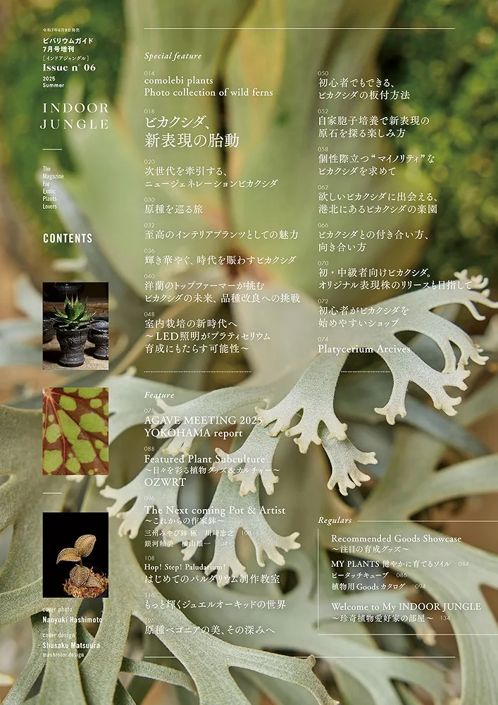 INDOOR JUNGLE （インドアジャングル）No.06 ビカクシダ、新表現