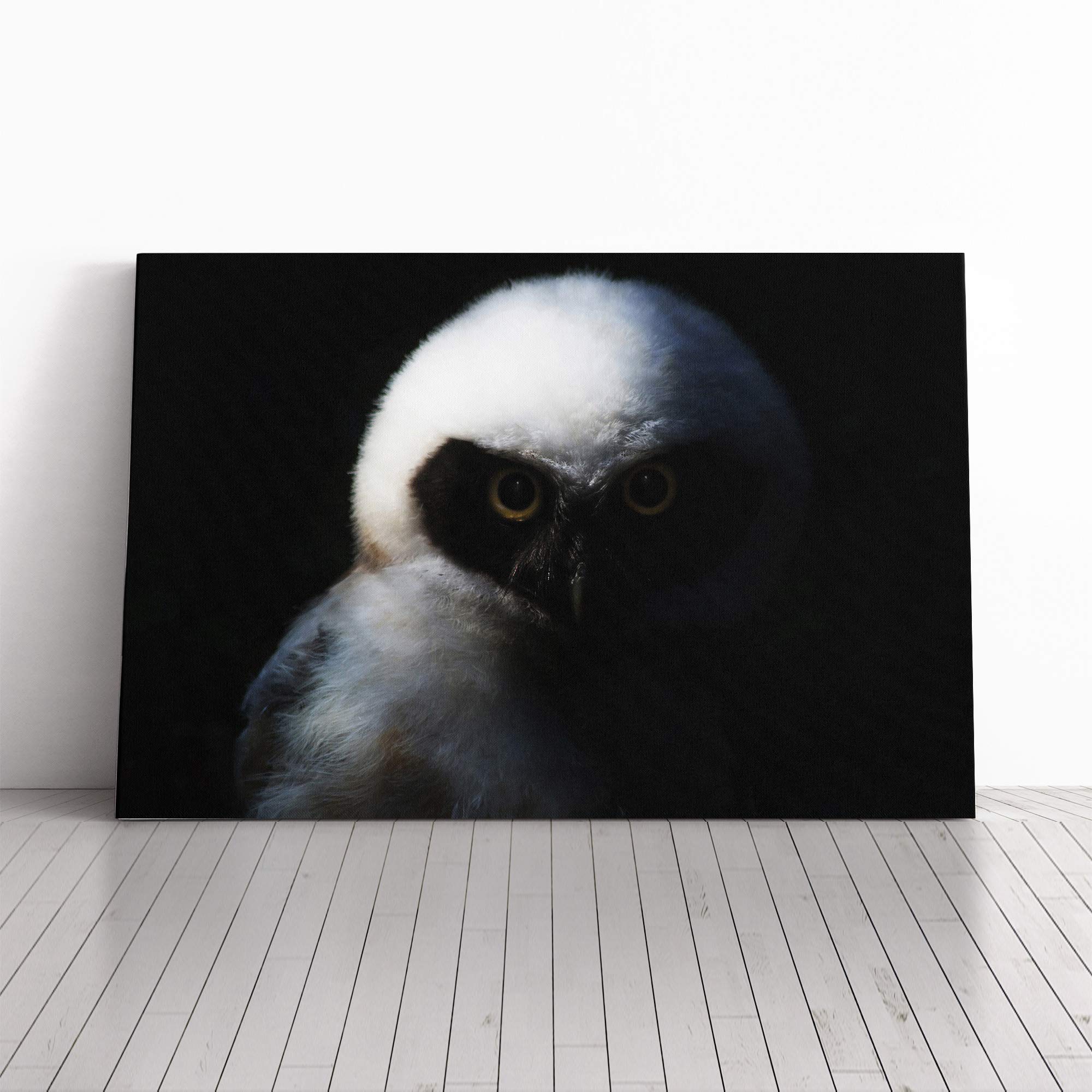 Spectacled Owl Bird Canvas Print | Gallery Wrapped 30mm Frame Wall Art | 20x14 inches | Ready to Hang | Modern Animals Picture | Living Room Bedroom Lounge Office