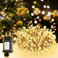 SALCAR Luci Natalizie 5m 50 LED per Esterno, Catena luminosa con 8 Modalità