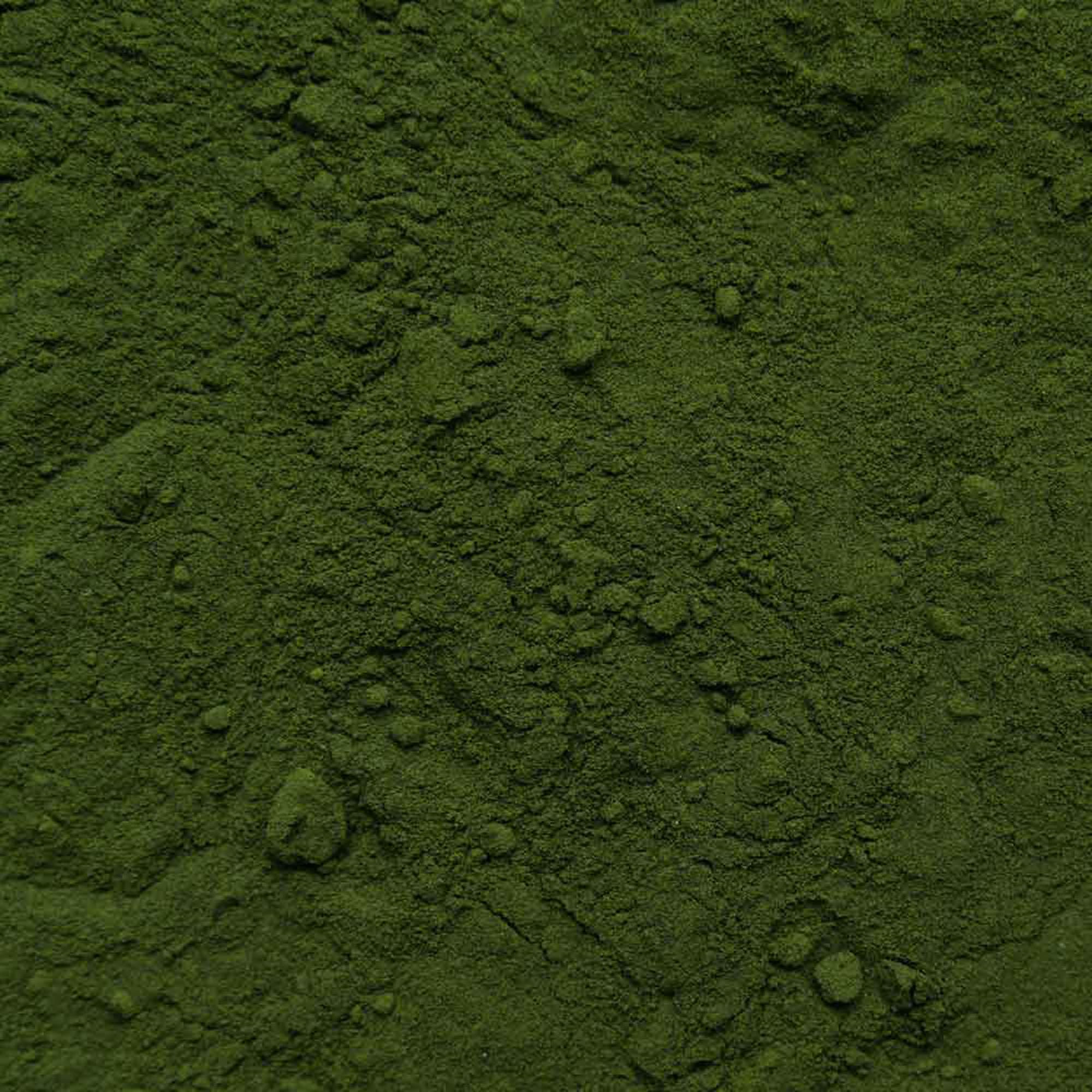 Clorella e spirulina in polvere Bio 500g | alghe | Chlorella vulgaris | confezionato e controllato in Germania | Biotiva