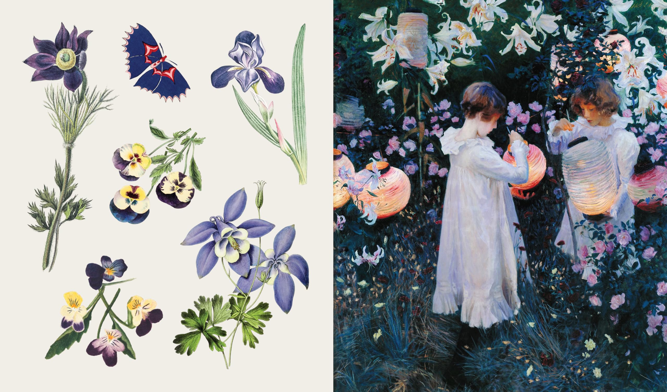 Blooms and Butterflies