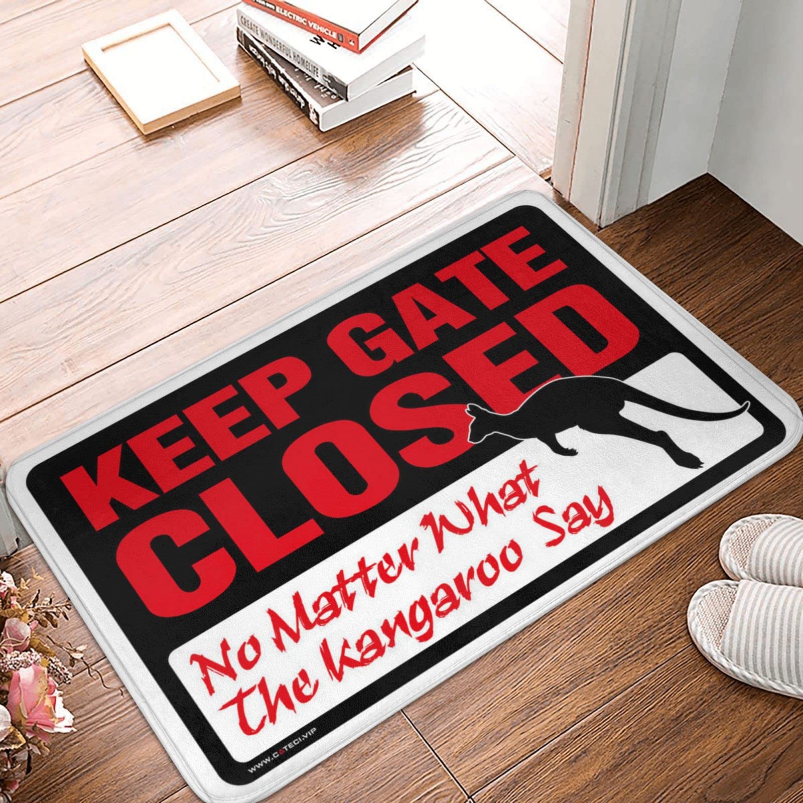 Tapis de bienvenue extérieur résistant 50x80 paillasson entrée extérieure drôle