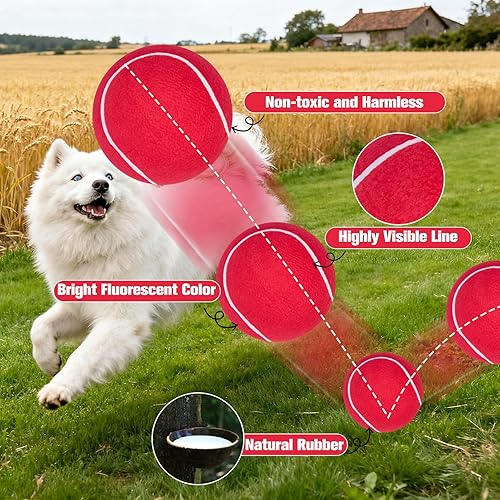Miniatura 3 de EXPAWLORER Giant Tennis Balls for Dogs - 2Pcs 9.5" Interactive Dog Ball Toy for Outdoor Indoor Training Playing Sports, Large Tennis Ball Toys with
