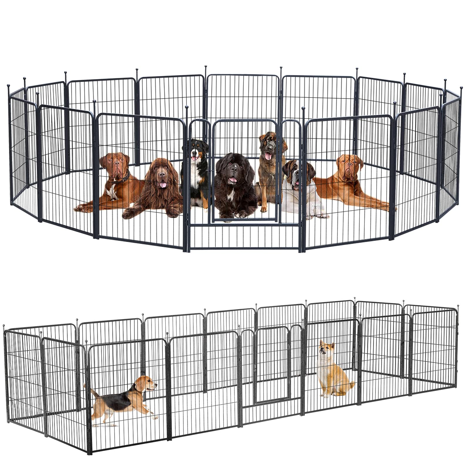 Do Indoor Dogs Live Longer