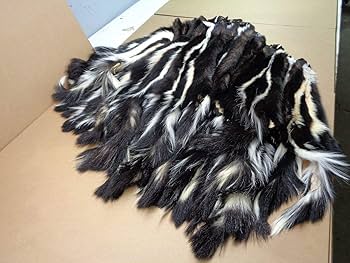 Amazon.co.jp: 本物のXL タンニンなめしスカンクハイドファー