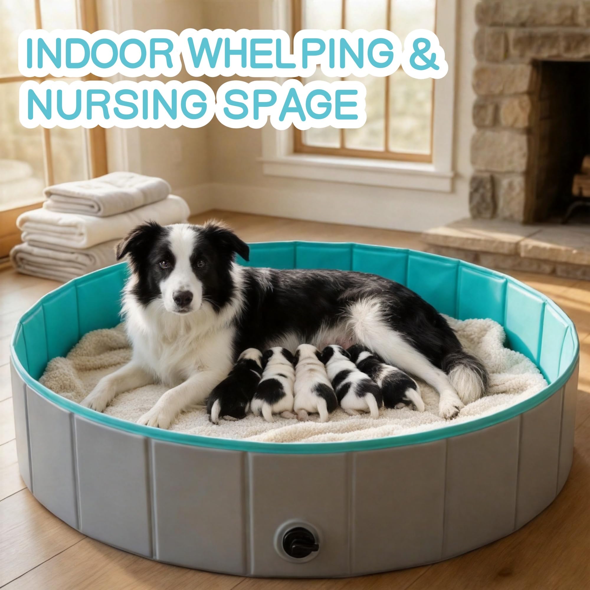 Piscina para Perros Grandes y Pequeños, Piscinas Plegable Rigida Antideslizante, Bañera para Mascotas Portátil con Desagüe, para Mascotas, Gatos, Uso Interior y Exterior (80x20cm) (Small)