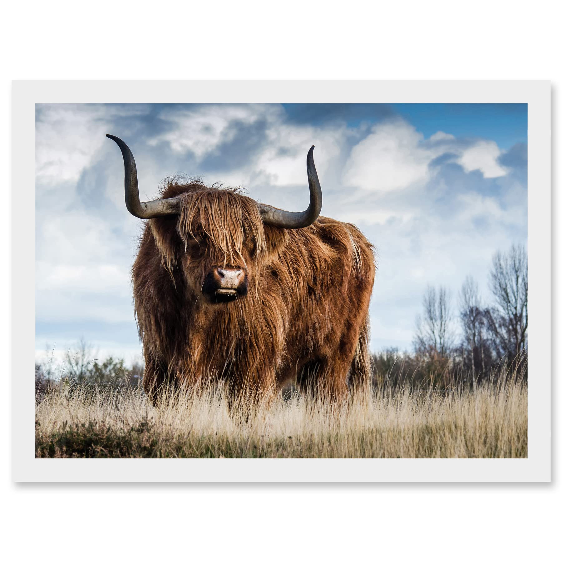 Wee Blue Coo Scottish Highland Cow Hairy Coo Photo Artwork Framed Wall Art Print A4