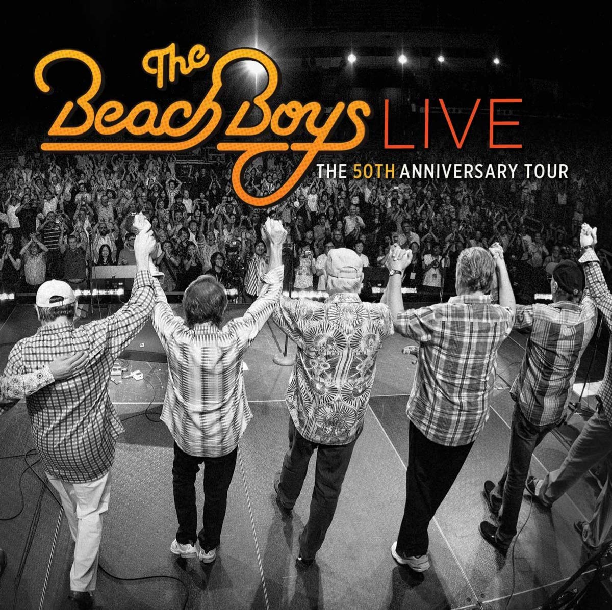 The 50th Anniversary Tour: The Beach Boys, The Beach Boys, Van