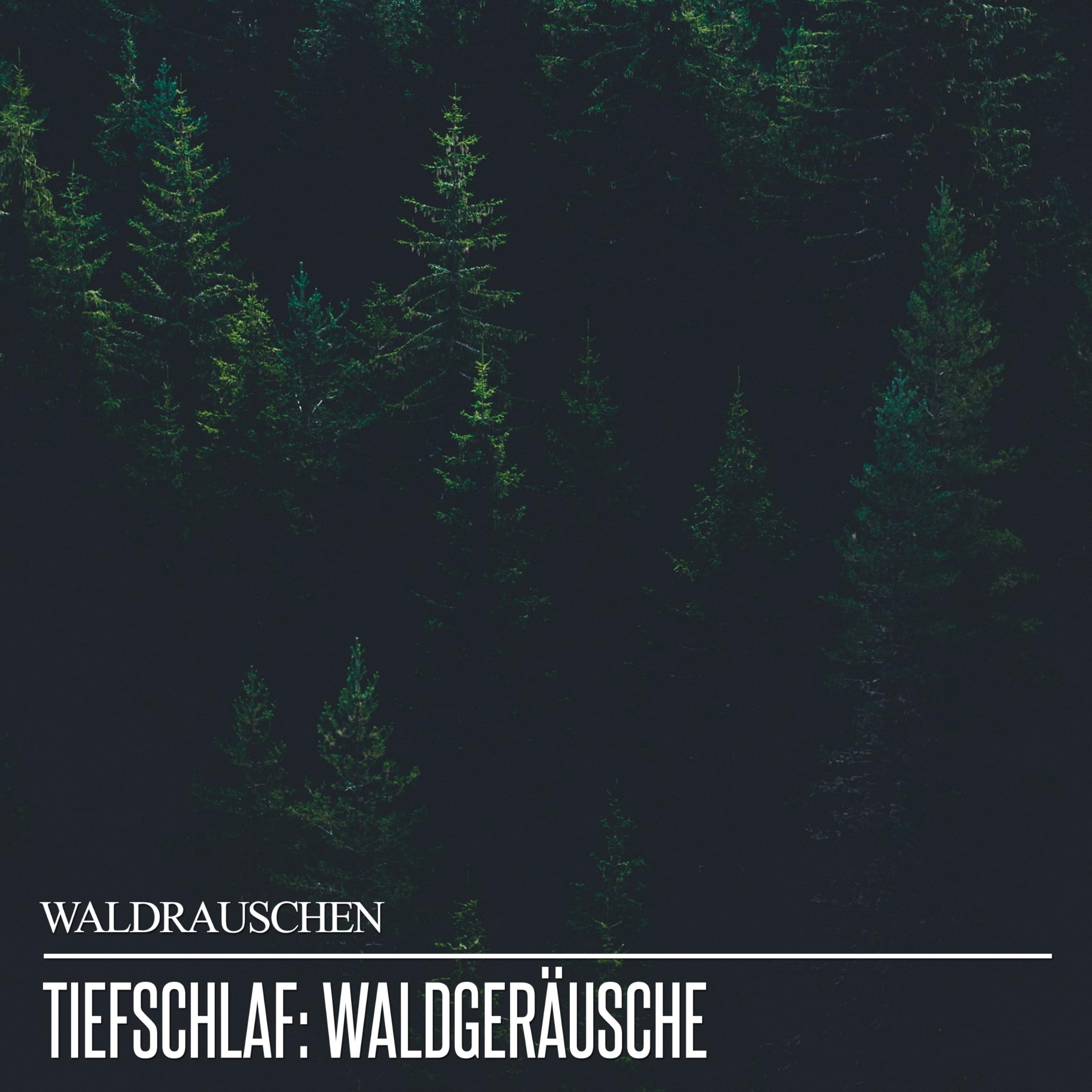 Waldrauschen