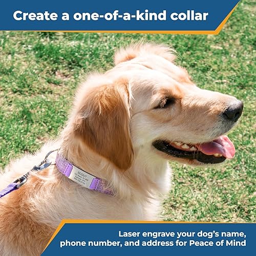 Miniatura 2 de GoTags Collar de algodón personalizado para perro de cáñamo con placa de identificación grabada personalizada, placa silenciosa y sin ruido para