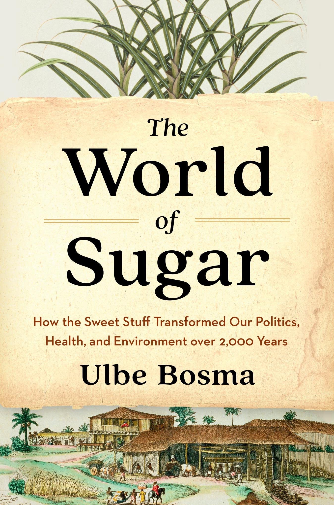 The World Of Sugar