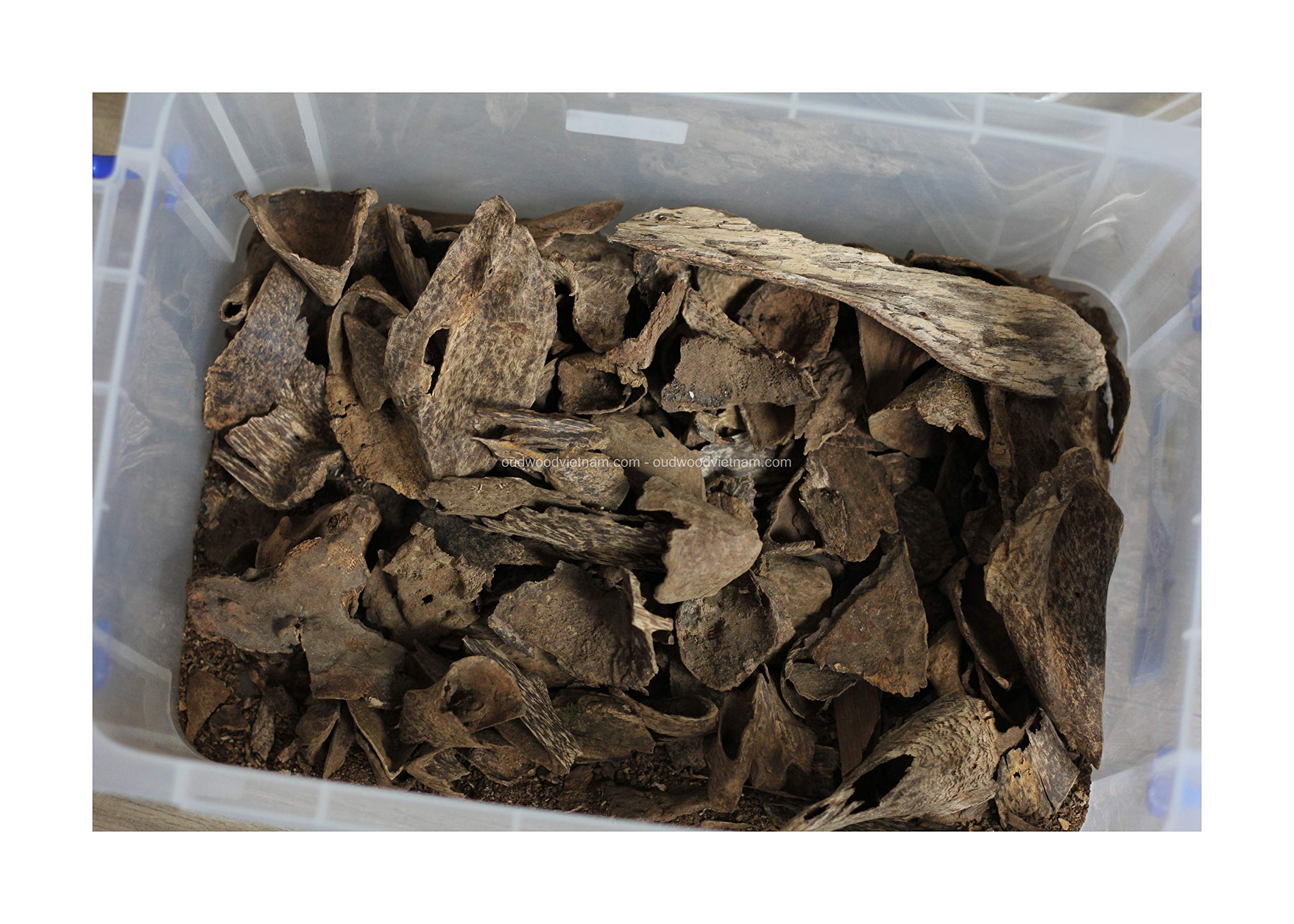 Buy Oudh Agarwood Chips Oud Chips Incense Aroma