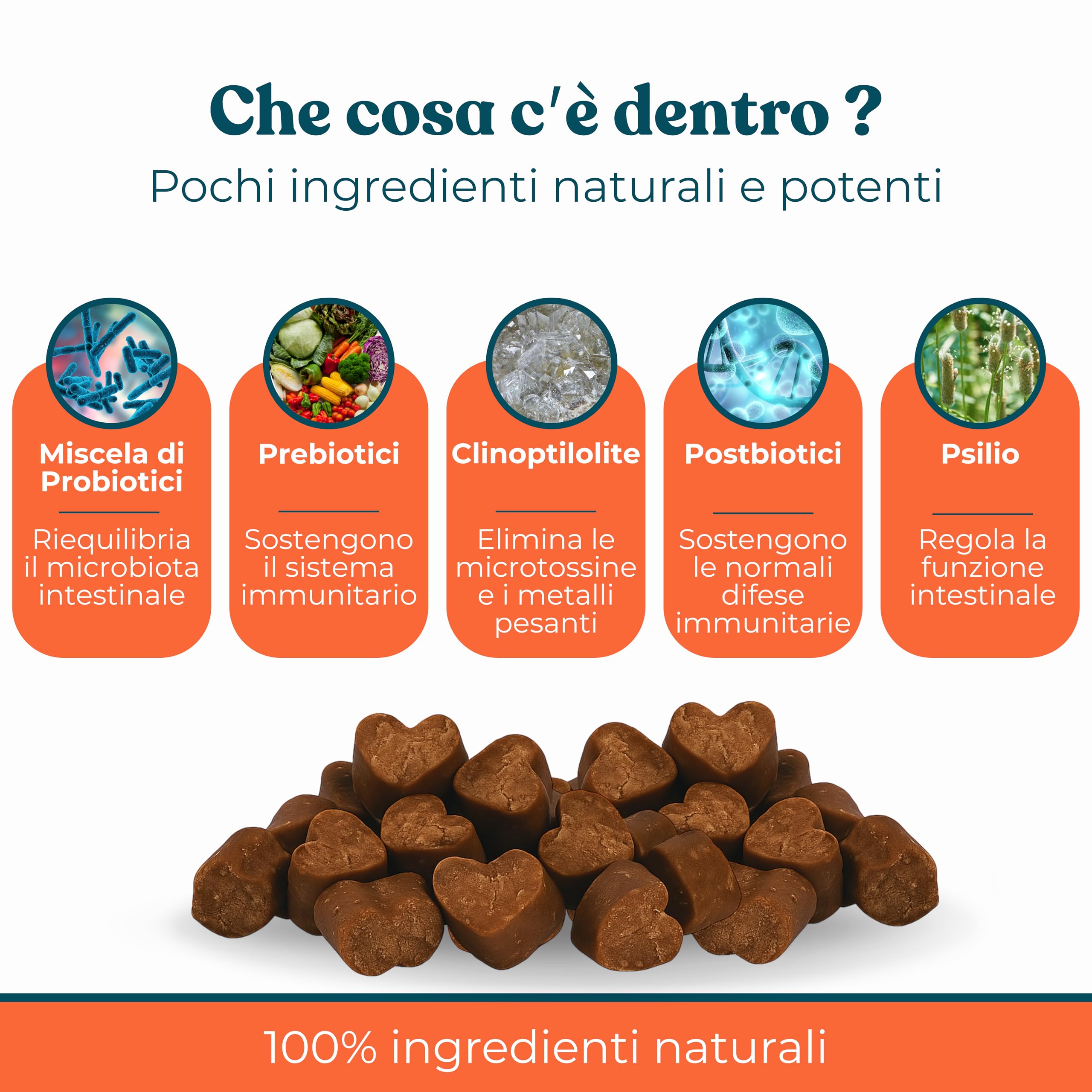 Probiotico per Cani Gusto Manzo - Integratori Probiotici per Cani per Intestino, Prurito e Sistema Immunitario (40 Bocconcini)