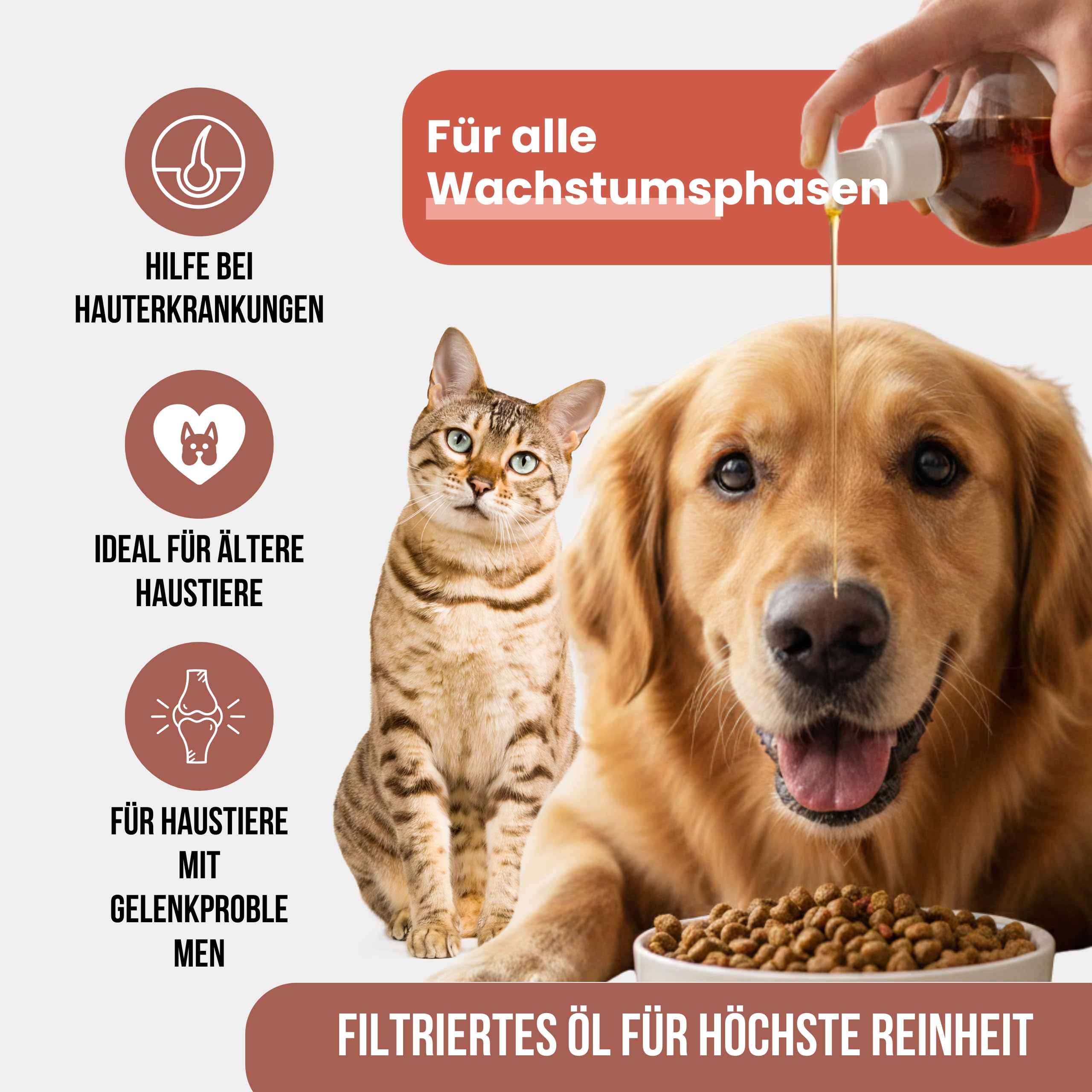 Lachsöl: Hunde und Katzen, 5 l, Quelle von Omega 3 und 6, EPA und DHA, hochwertiges Nahrungsergänzungsmittel mit Fettsäuren und Vitamin E – Herkunft Schottland