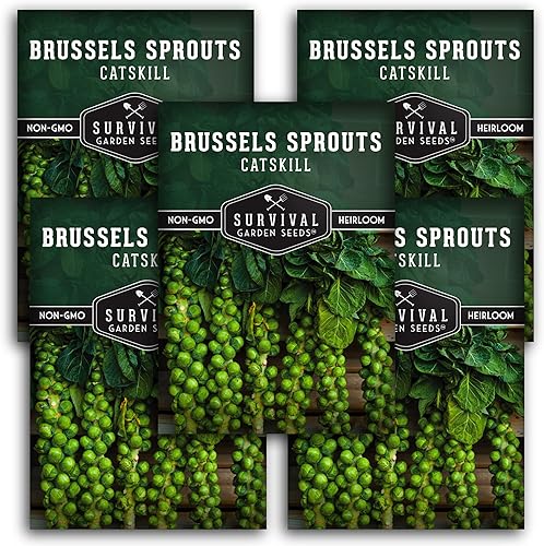Survival Garden Seeds - Semillas de coles de Bruselas Catskill para plantar - 5 paquetes con instrucciones para plantar y cultivar sabrosas verduras