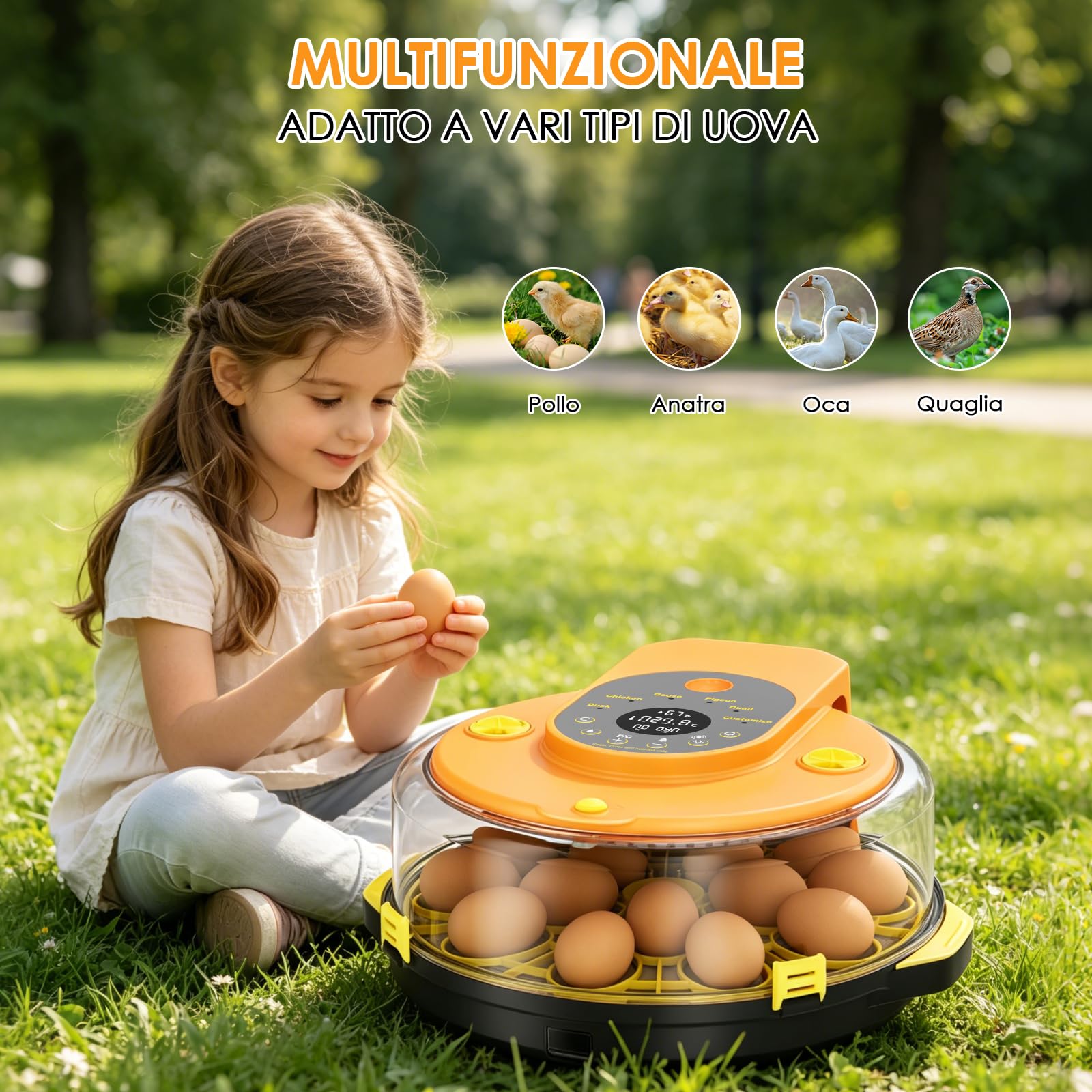 Incubatrice per Uova Automatica, Incubatrice 15 Uova Rotazione Automatica delle Uova, Controllo della Temperatura e dell’Umidità, Adatto all’Incubazione di Uova di Gallina, Anatra, Oca