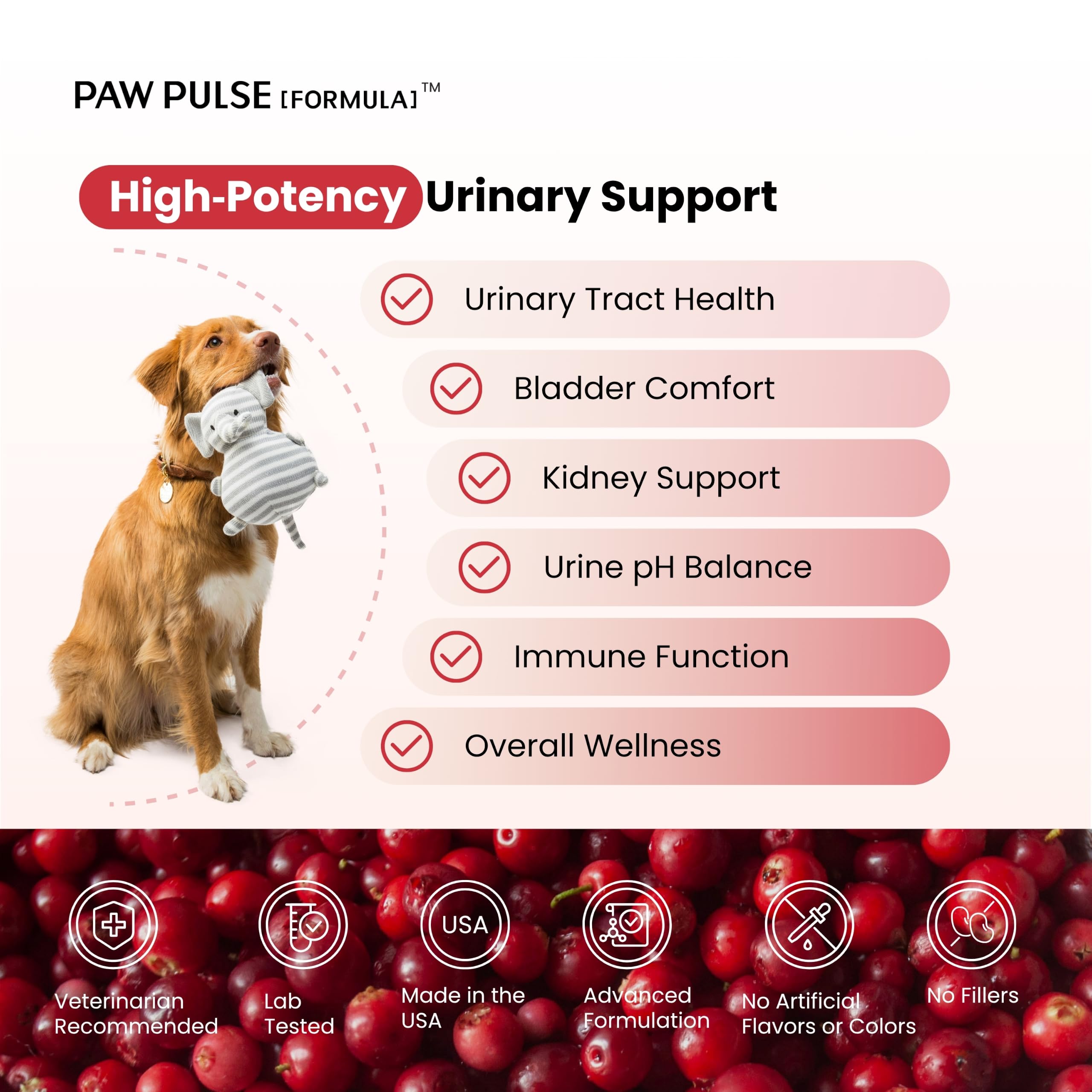 Dog UTI Treatment, Cranberry Supplement for Dogs with Cranberry Extract, D-Mannose & Probiotics, Cranberry for Dogs, Urinary Tract & Bladder Support, 90 Soft Chews — Amazon image 2