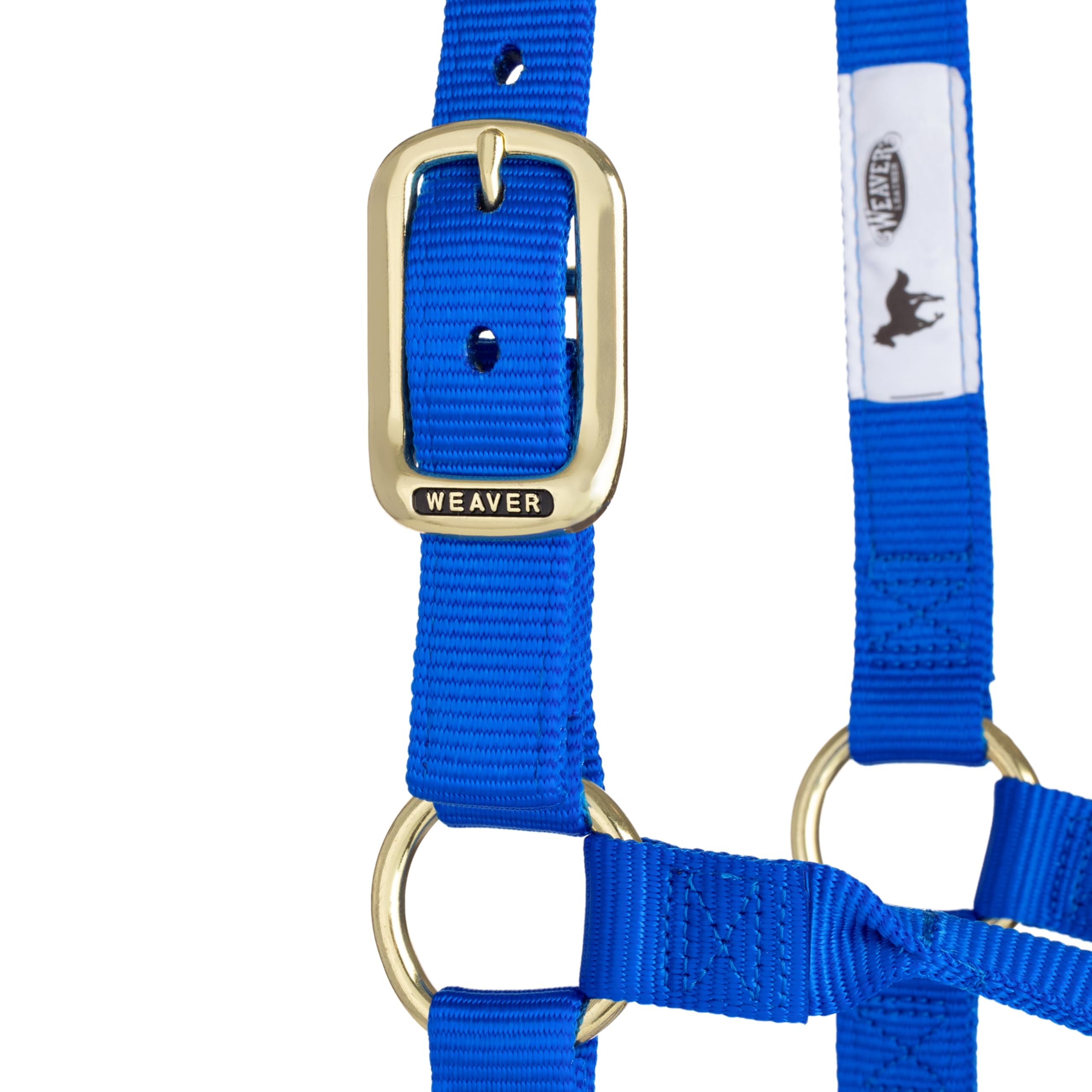 Weaver Leather Original - Cavezza non regolabile, per cavallo tra 1 e 2 anni, M, blu