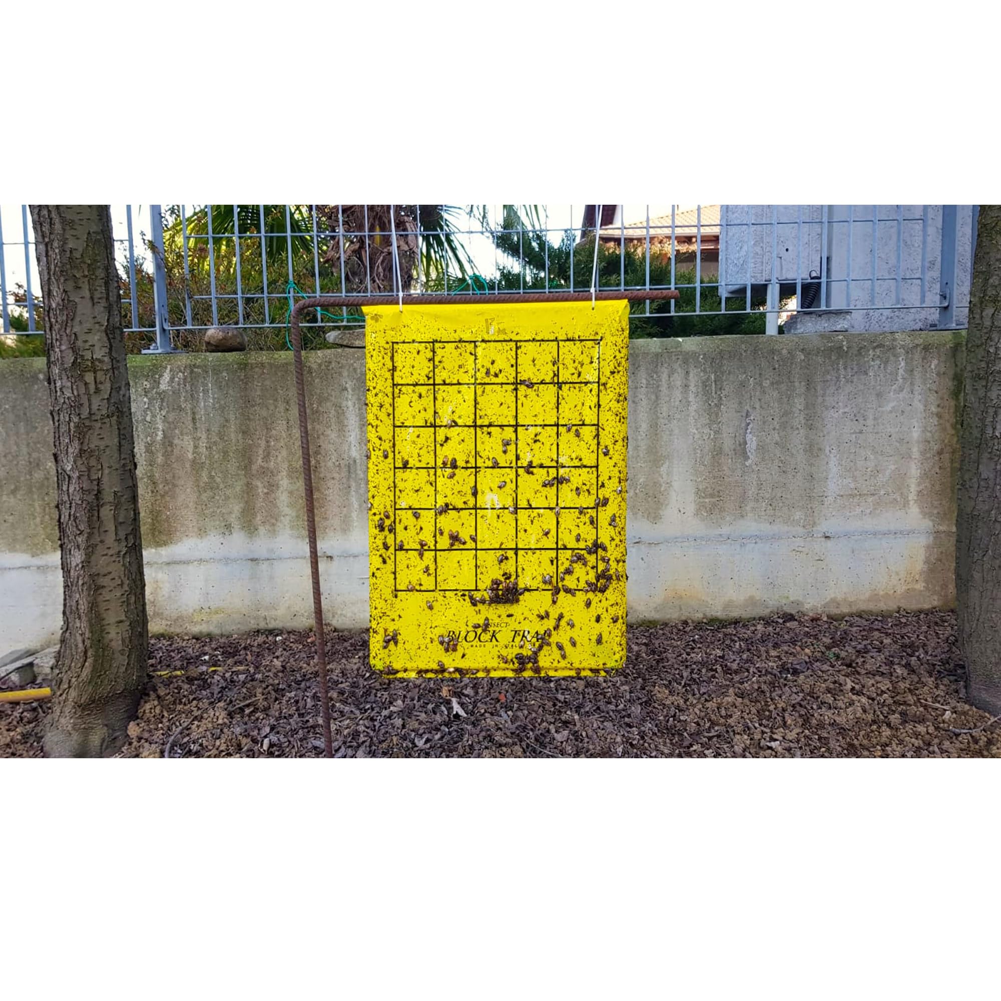 Cimice Stop Block Trap - Trappola ecologica per la cattura di massa della Cimice Asiatica, Verde e Marmorata (Halyomorpha Halys) Più di 12 settimane di funzionamento (Kit Completo)