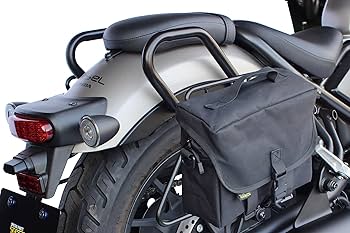 Amazon | スペシャルパーツ武川(TAKEGAWA) グラブバー レブル250