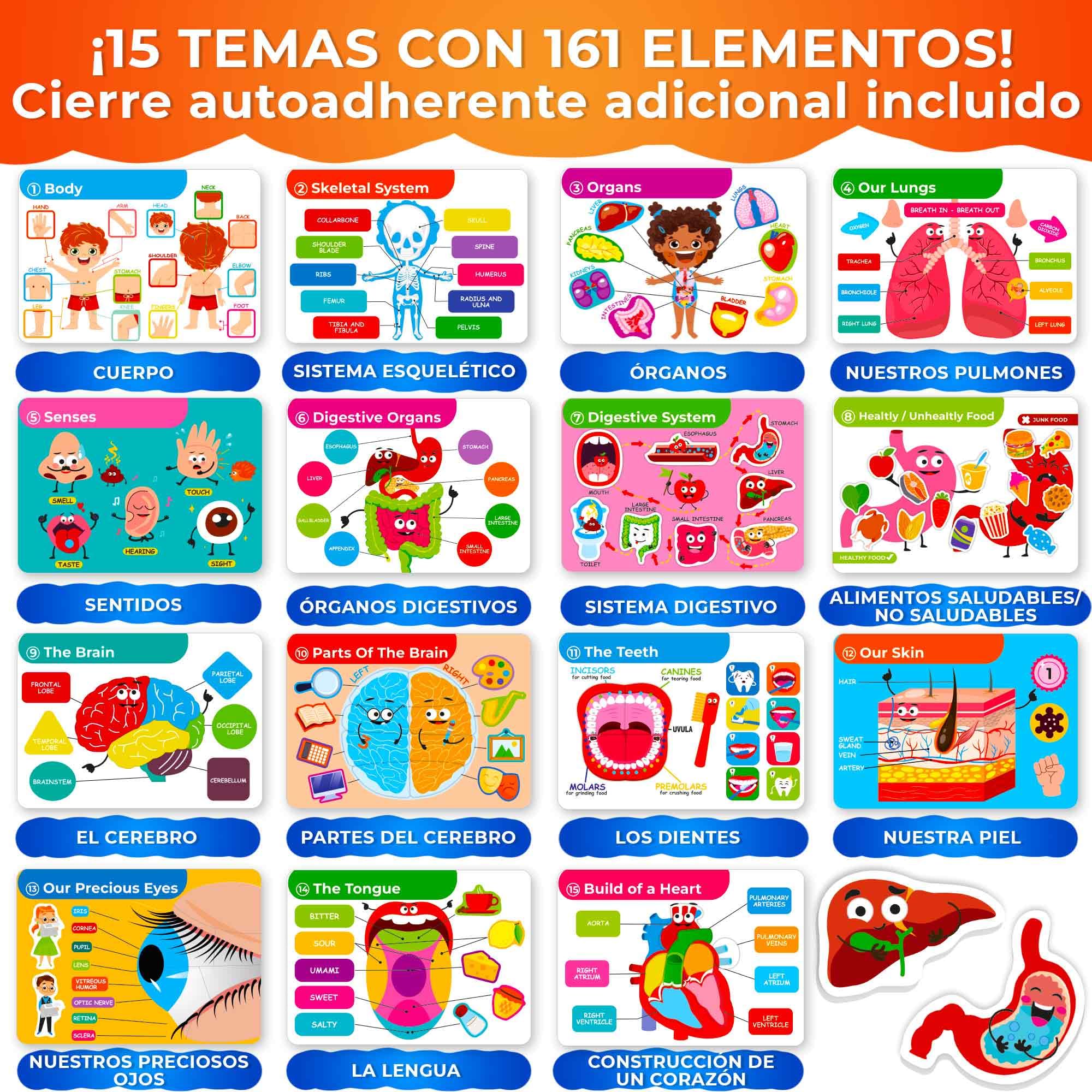QUOKKA Busy Board Montessori 1 2 Año - Versión Inglés - Libro Sensorial Bebe con 15 Temas sobre el Cuerpo Humano - Busy Book Juegos Montessori 3 4 Años - Regalo Educativo para Niños y Niñas