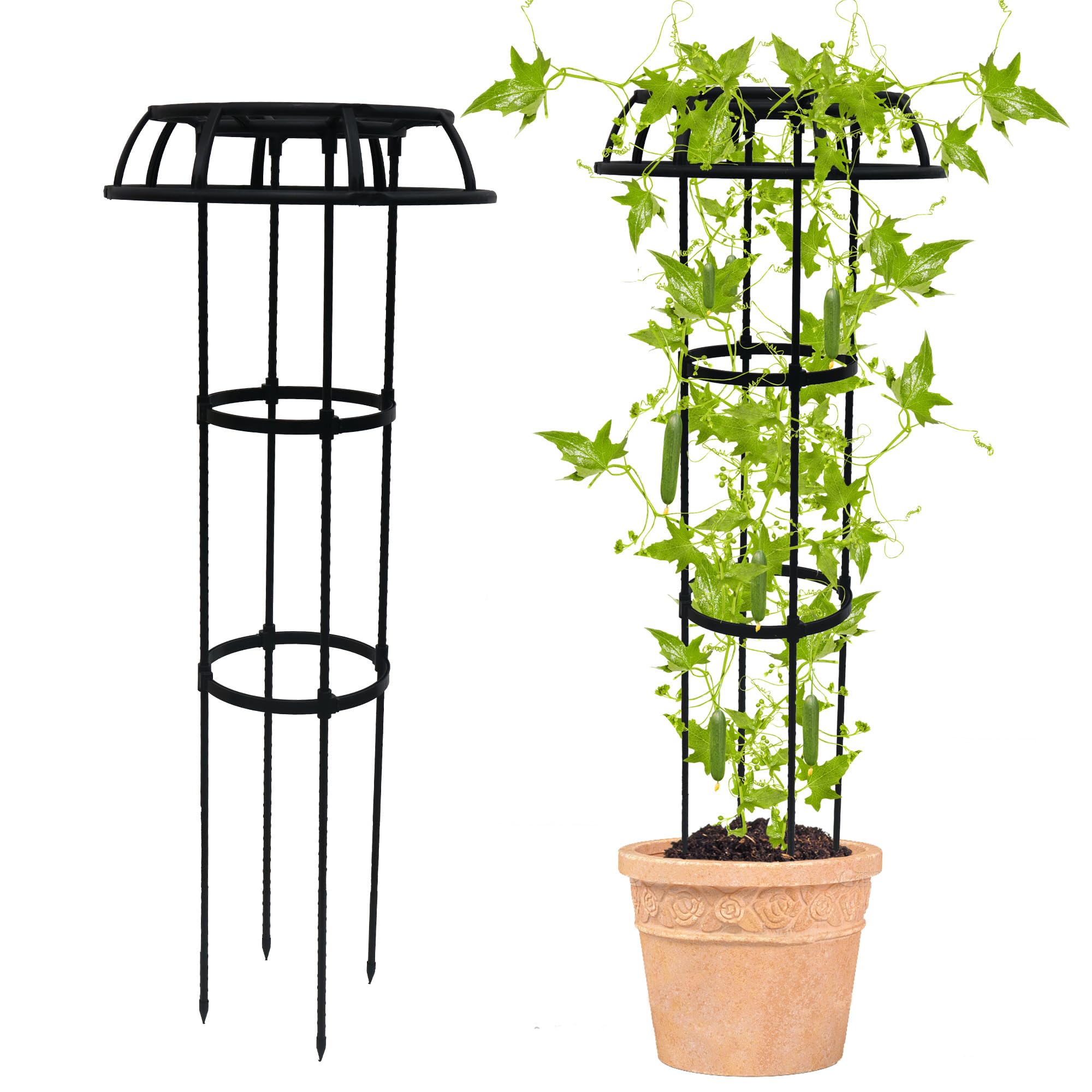 Quibbay Mushroom Top Garden Trellis