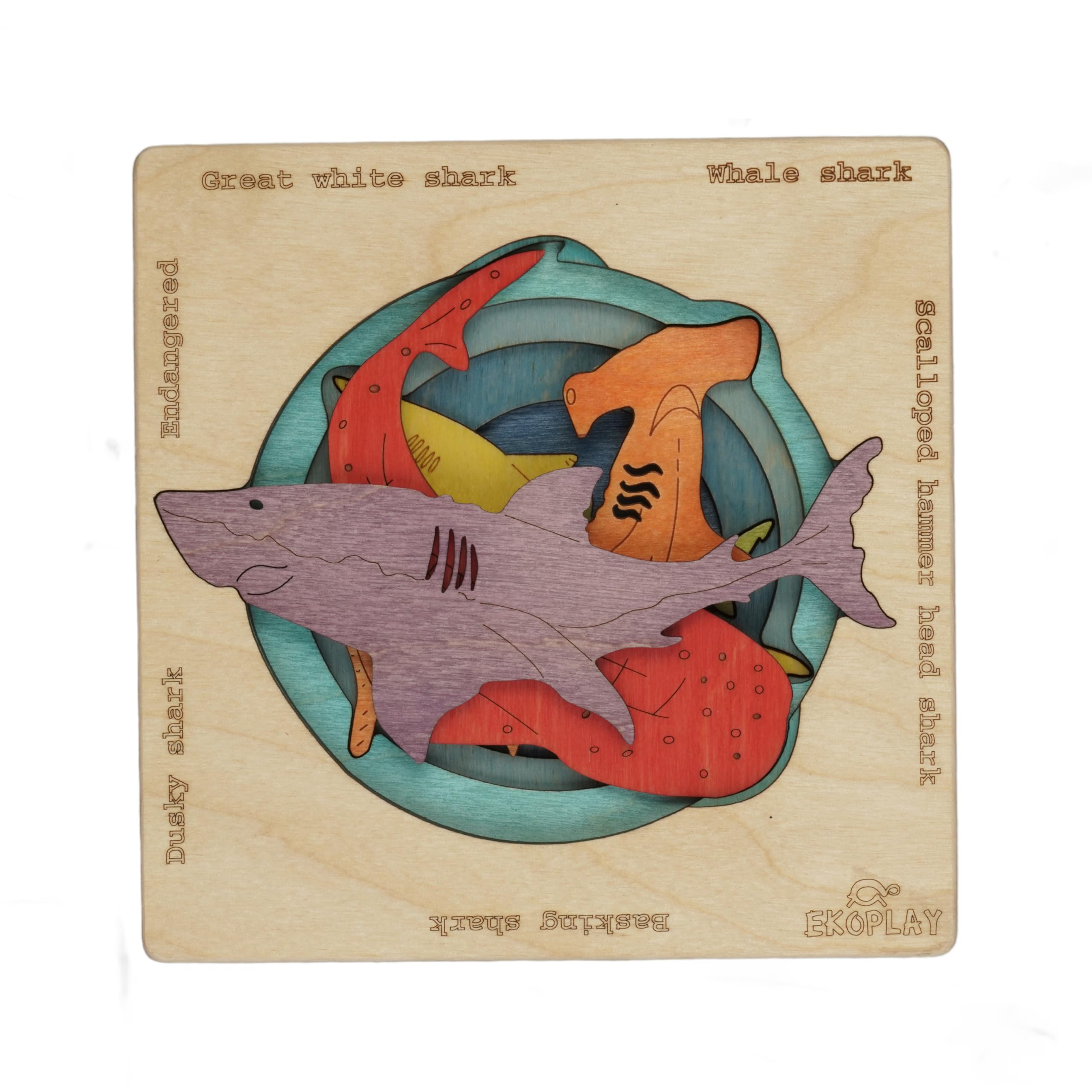 Sponsored Ad - Endangered Sharks | Multilayered Wooden Jigsaw Puzzles for Kids | Hammerhead, Great White Shark, Whale Shark, Dusky Shark, Basking Shark | Learning Toy & Gift for Boys Girls Ages 3 Years and Above