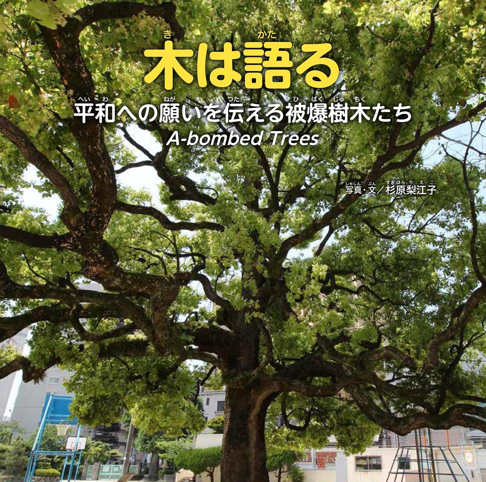 木は語る〜平和への願いを伝える被爆樹木たち A-bombed Trees〜 | 杉原