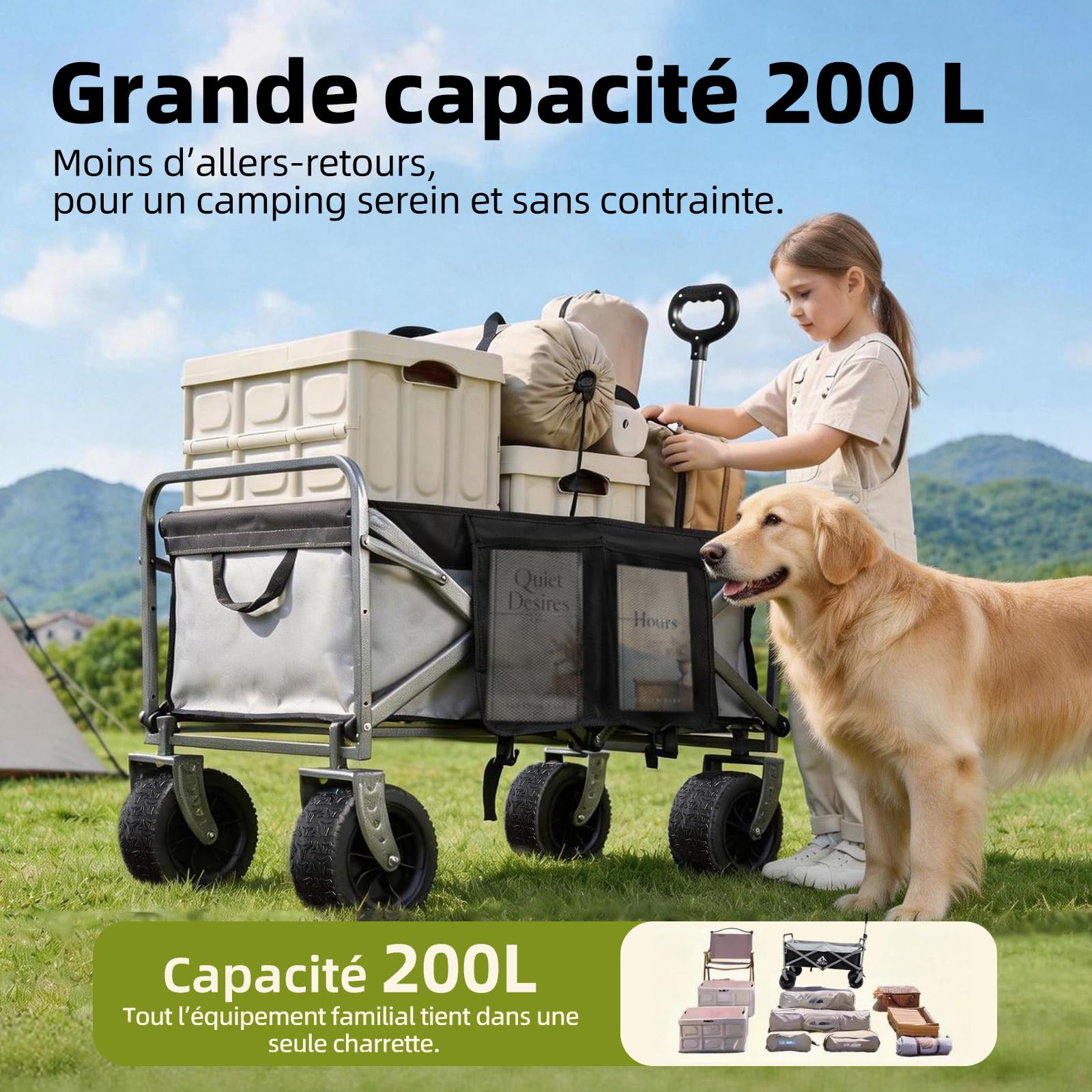 Chariot de Plage Pliable, Capacité 272KG, Roues Larges Tout-Terrain pour Plage, Jardin, Camping, Pêche et Barbecue, Gris