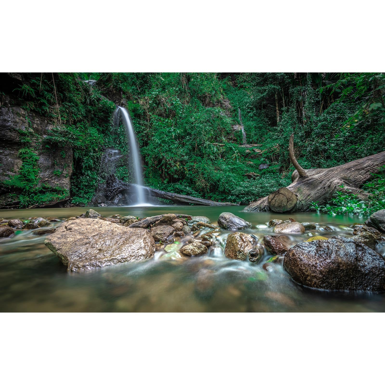 Waterfall Aquarium Background Deep Forest Natural Landscape Terrarium Background Falls Green Jungle Plants Huge Rocks Fish Tank Background Rock Dead Wood Reptile Background Vinyl 48x20in