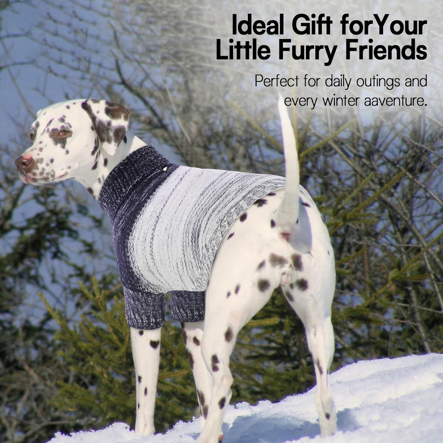 Queenmore Small Dog Sweater, Knitted Pullover Puppy Sweater,Cold Winter Pet Sweaters for Dog Girls Boys, Soft Turtleneck Knit Sweater with Leash Hole,Long Sleeves Christmas DogSweater(Blue,XS)