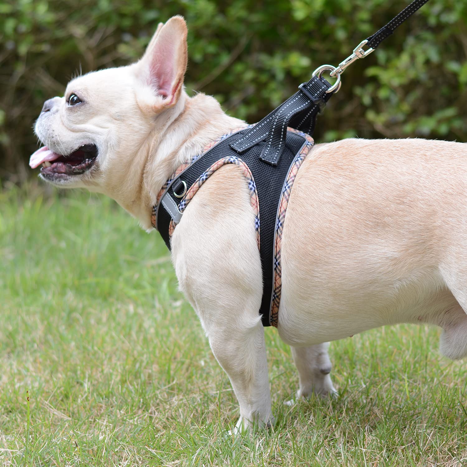 DORAMIO Pettorina Cane Taglia Piccola, Step-in Pettorina per Cani Gatti Cuccioli con Guinzaglio Comodo, Riflettente Traspirante Imbracatura Cane Morbida per Passeggiate Corsa (S, Nero Giallo)