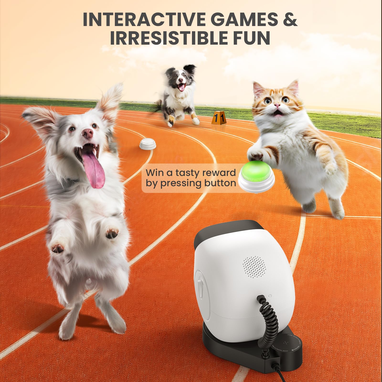 Dog Camera With Phone App Pet Camera Dog Treat Dispenser: 2K Video