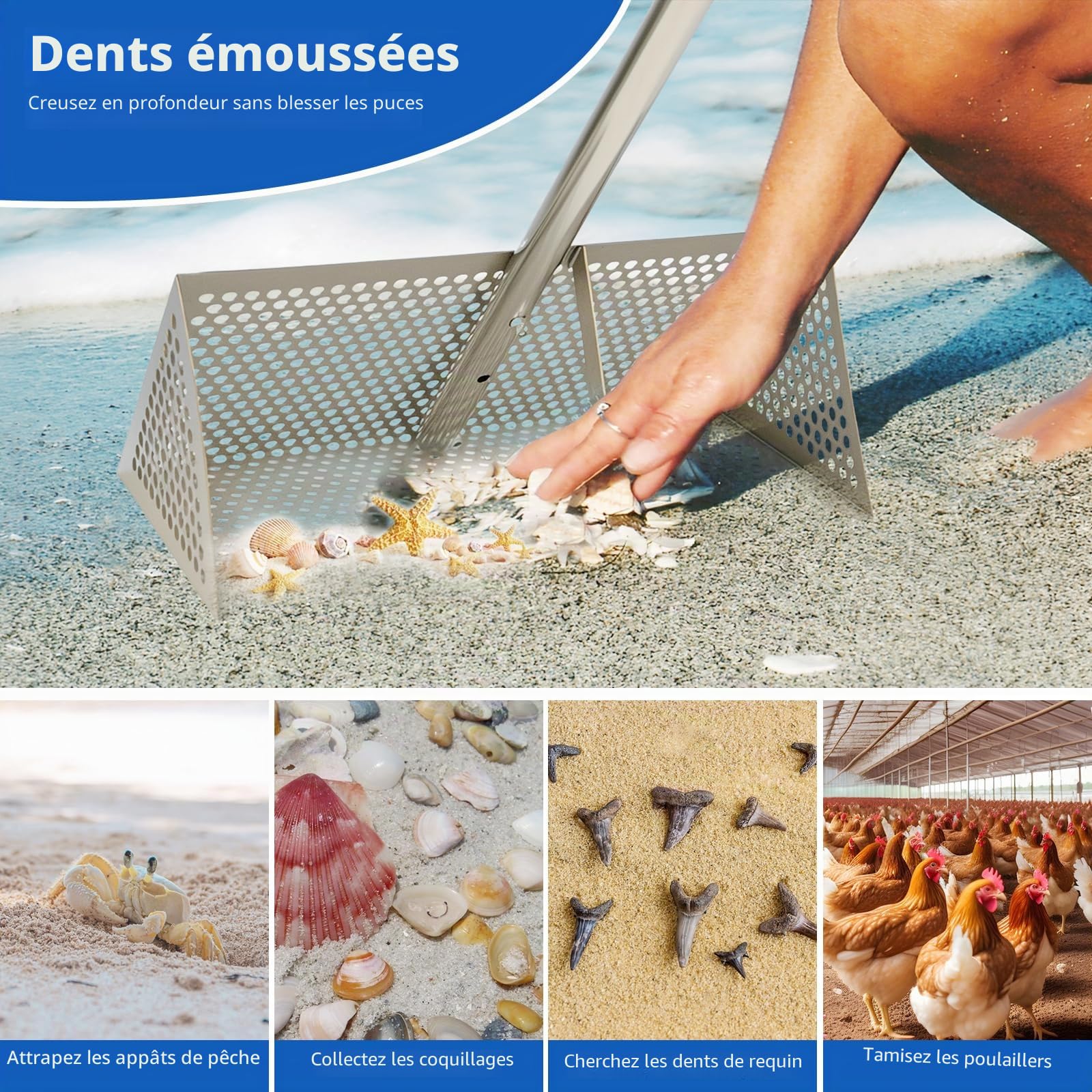 Râteau de Plage, râteau à puces de Sable, en Acier Inoxydable