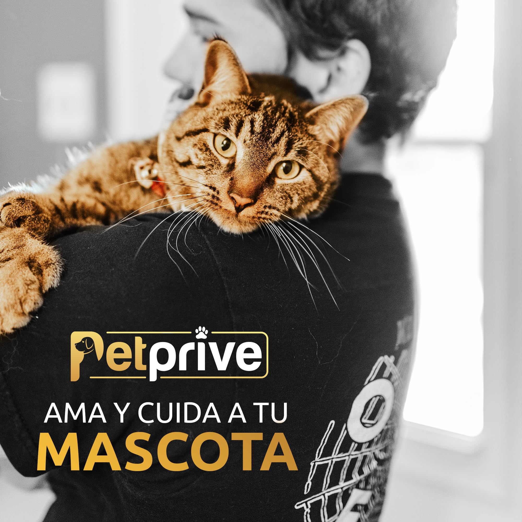 Suplemento Natural Antiinflamatorio Condoprotector para Perros y Gatos con Colágeno Hidrolizado, Glucosamina, Ácido Hialurónico, Magnesio, Vitamina C y D y Garra del Diablo