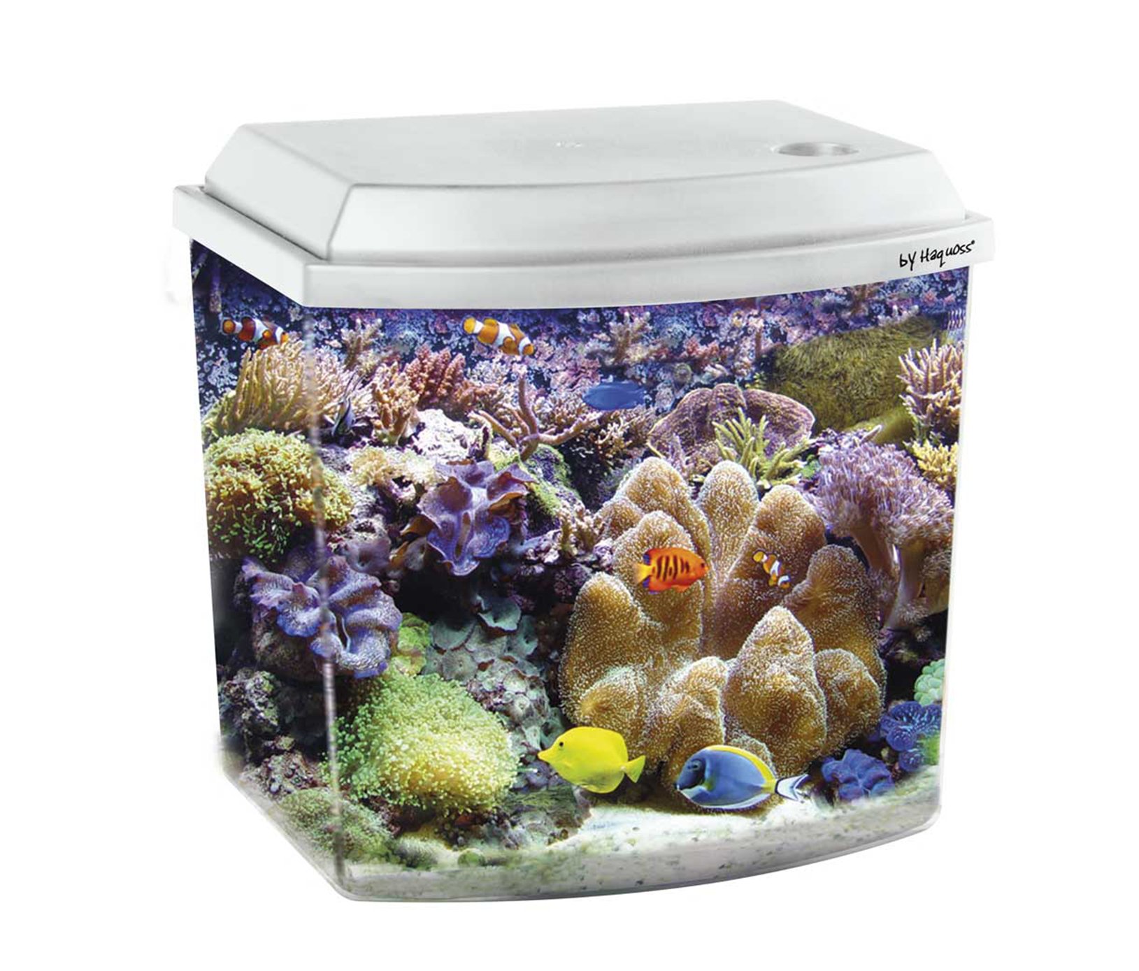 Acquario Haquoss Blu 3.8 Da 3,8 Litri - Nero, Dimensioni 21.6x15.6x20.8 Cm, Ideale Per Principianti
