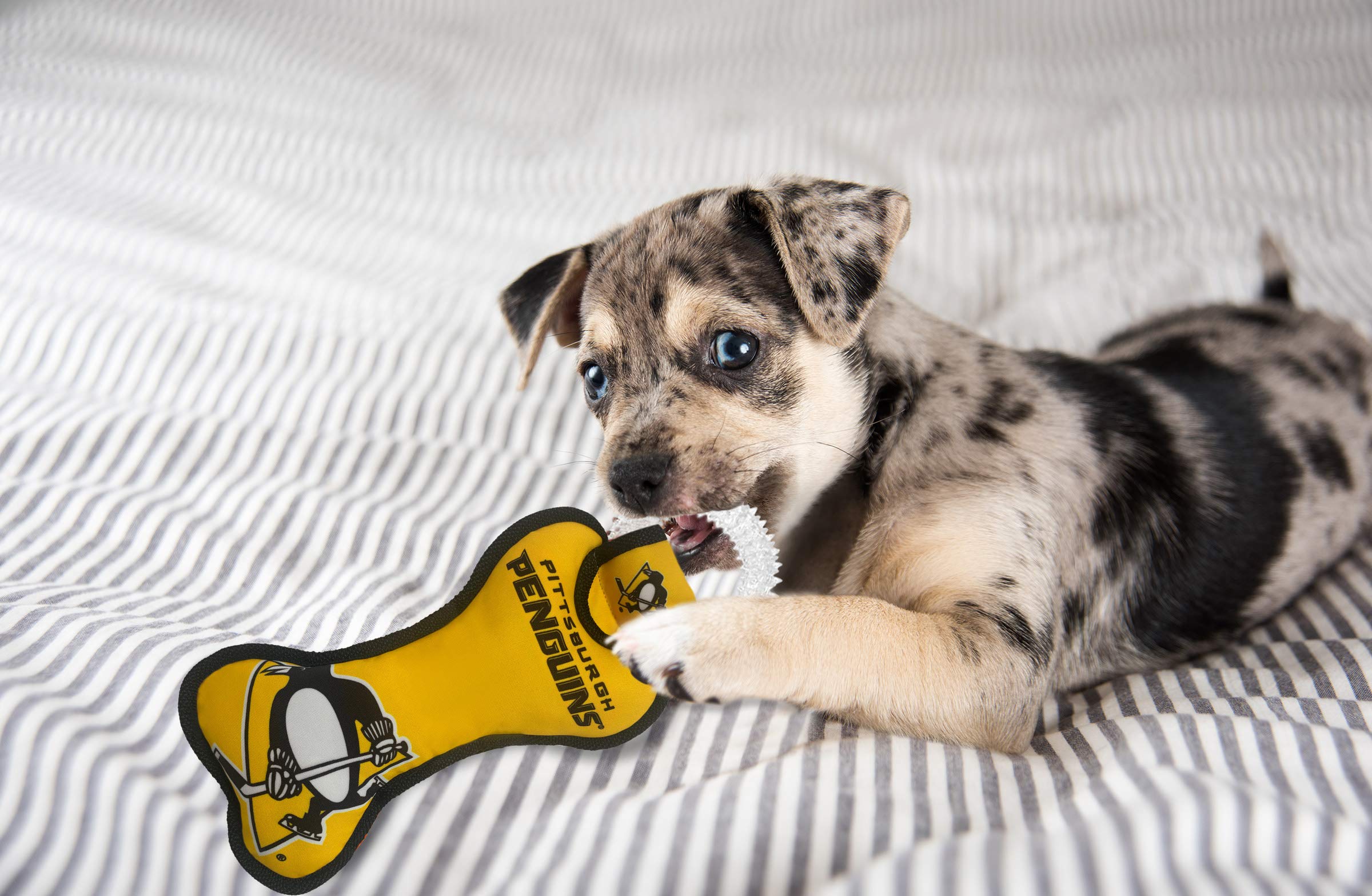 Pets First NHL Pittsburgh Penguins Dental Dog TUG zabawka z piszczałką, wytrzymała zabawka PET dla zdrowej zabawy, ząbkowania i czyszczenia zębów i dziąseł zwierzęcia, jeden rozmiar (PEN-3310)