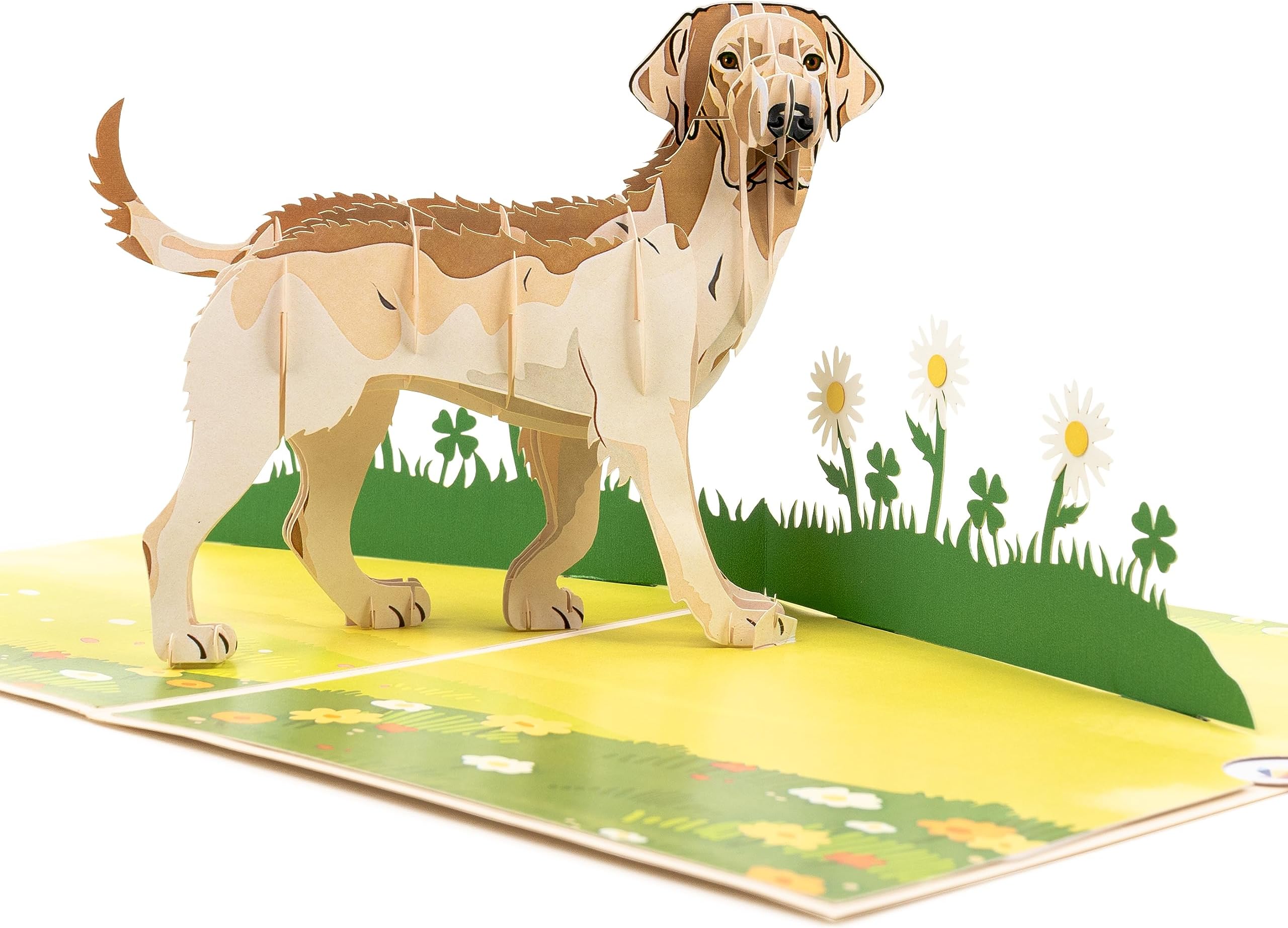 LIMAH® Pop Up Dog Card, Birthday Card, Friendship Card, Gift Card, Surprise Card with a Large Dog (Labrador) and a Green 3D Meadow (Beige)