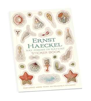 environmental 1 〜4アートブック environmental 1 〜4アートブック Environmental 1 4 Artbook | eBay