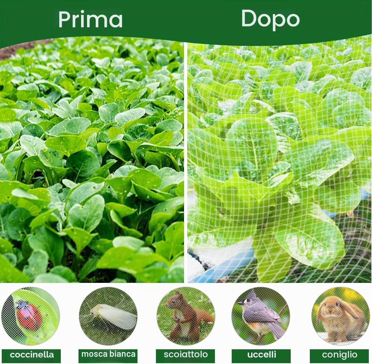 Cerchi per Serra per Letti rialzati, 40 Pezzi Telaio Rimovibile in Fibra di Vetro per Coltivare Tunnel da Giardino, Cerchi per Serra, Cerchi per reti (8 Nero)